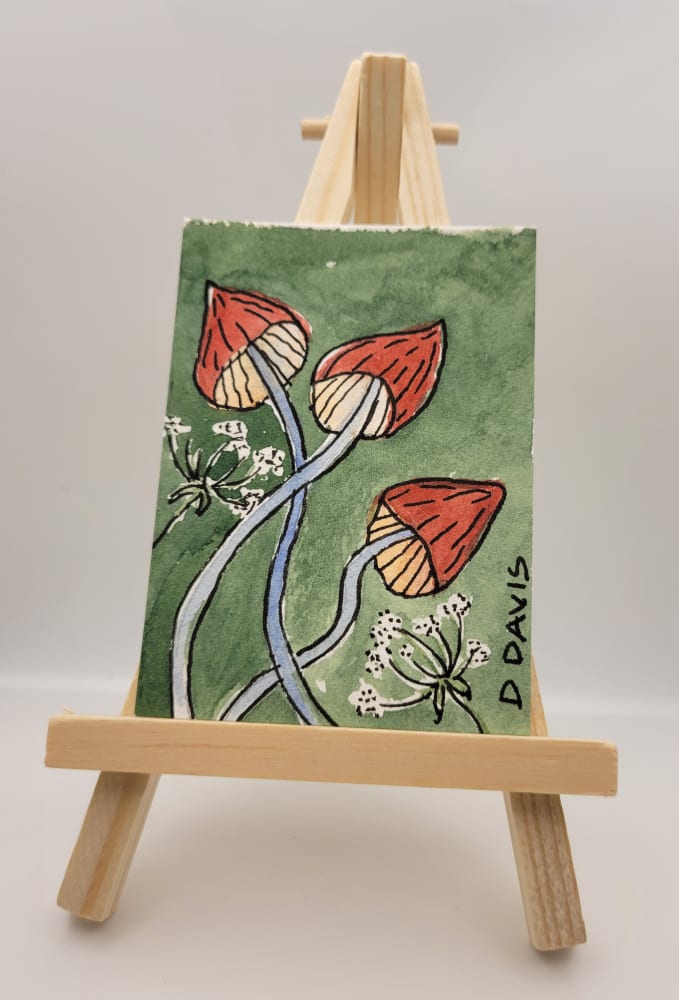 "Shroom Top", Nature ACEO by D J Davis