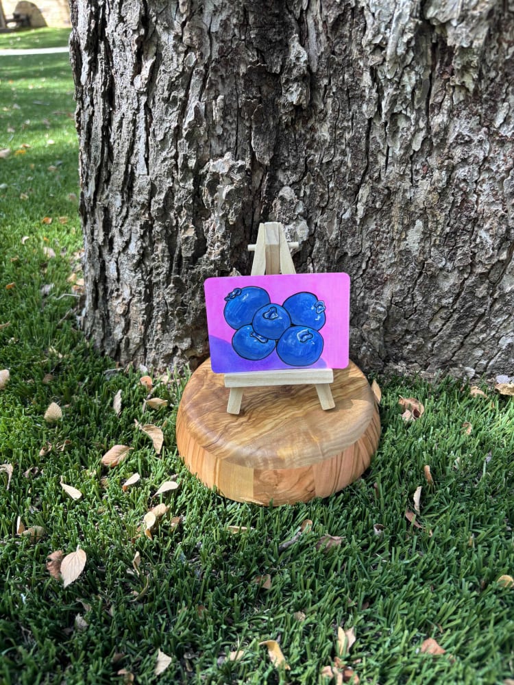 Blueberries: Pink, Food ACEO by Stacy Lee