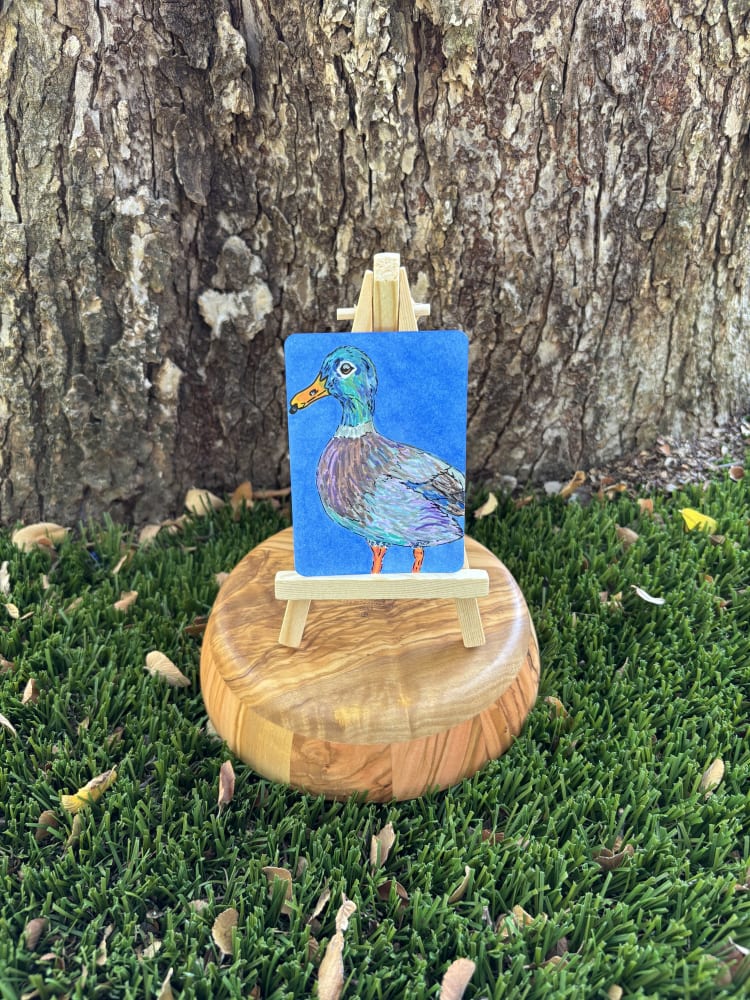 Mallard Duck, Animals ACEO by Stacy Lee