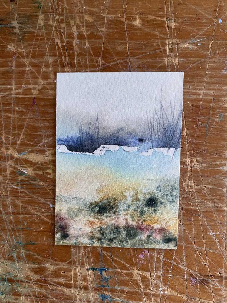 Cranberry Bog 9.4, Nature ACEO by T.D.