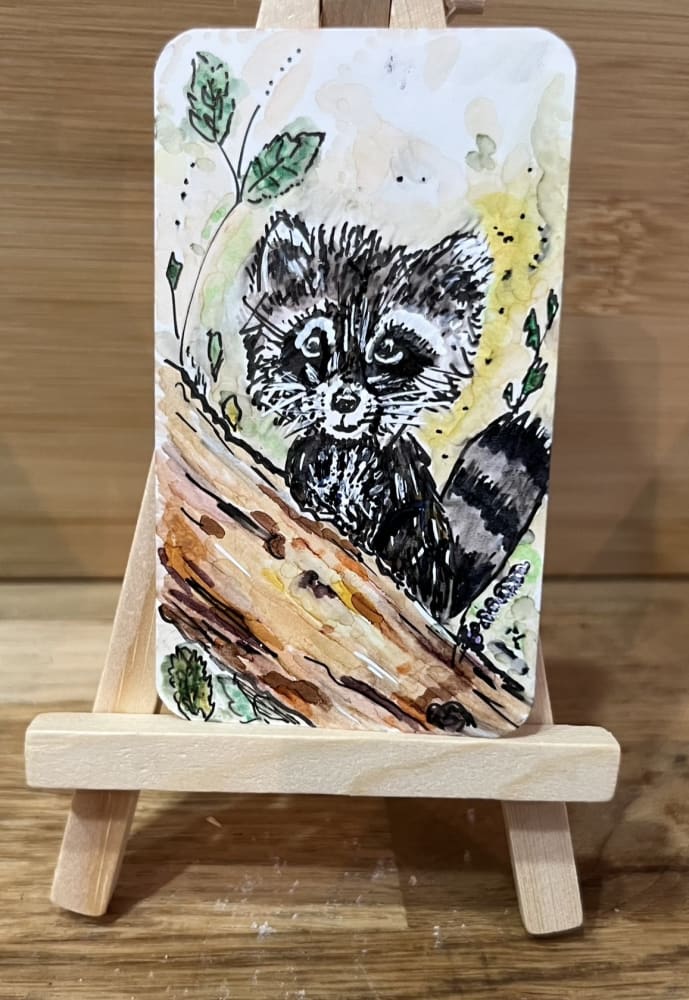 The Watchful Racoon, Animals ACEO by Lorraine Blanche