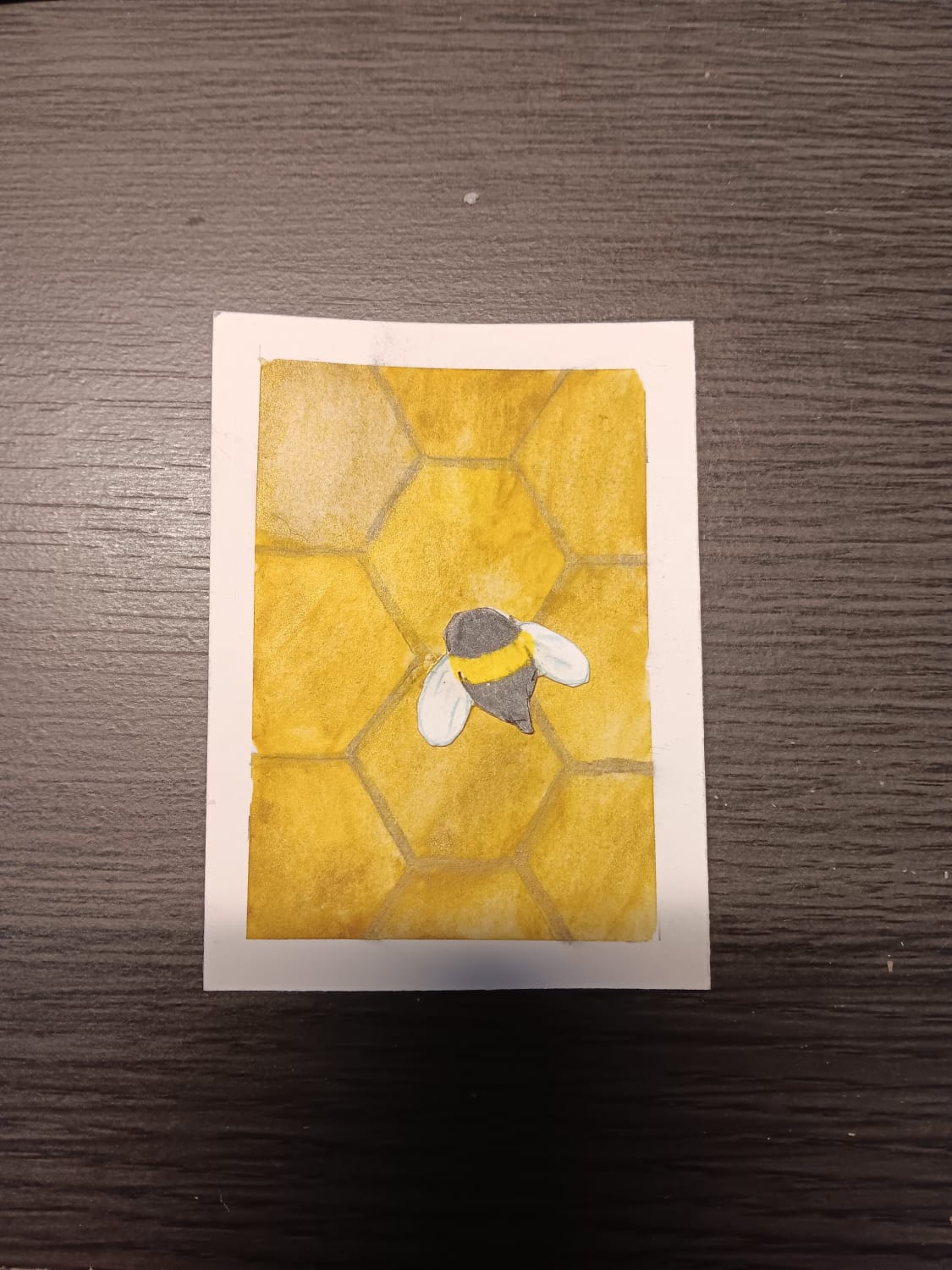 Honey Bee, Nature ACEO by Ashley Ball