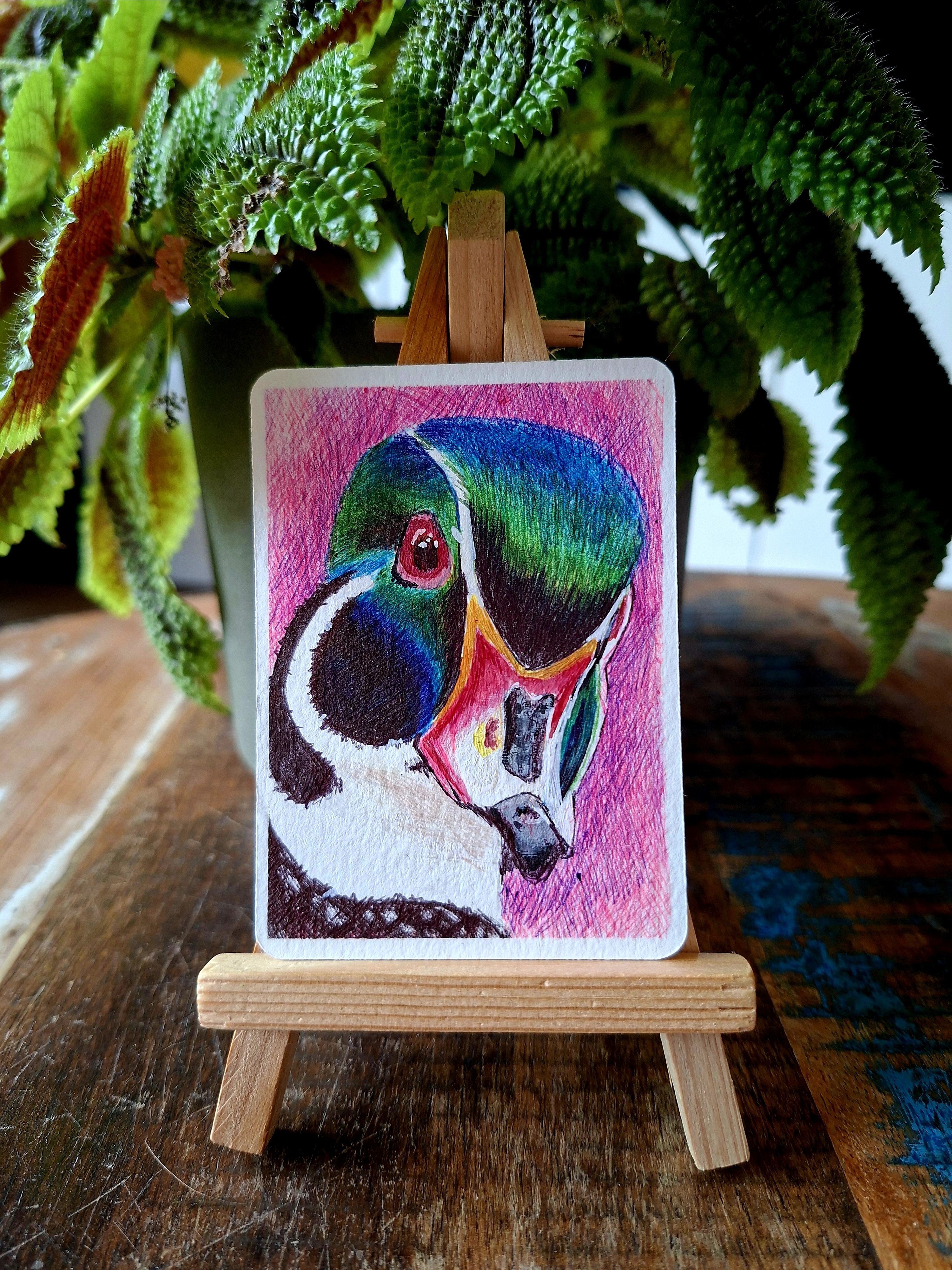 Silly Ducky, Animals ACEO by Chan_nl_art