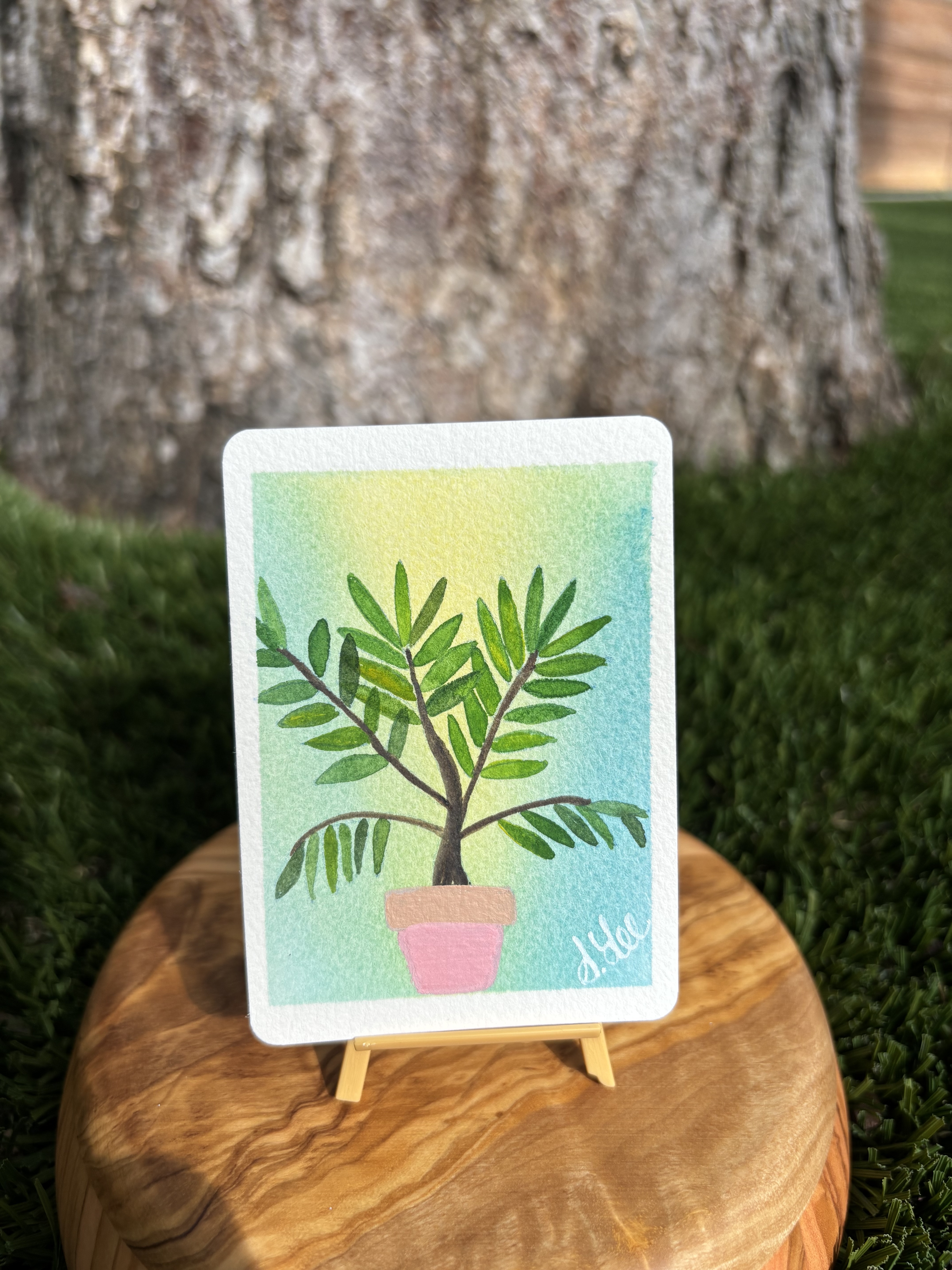 Palm, Nature ACEO by Stacy Rogers
