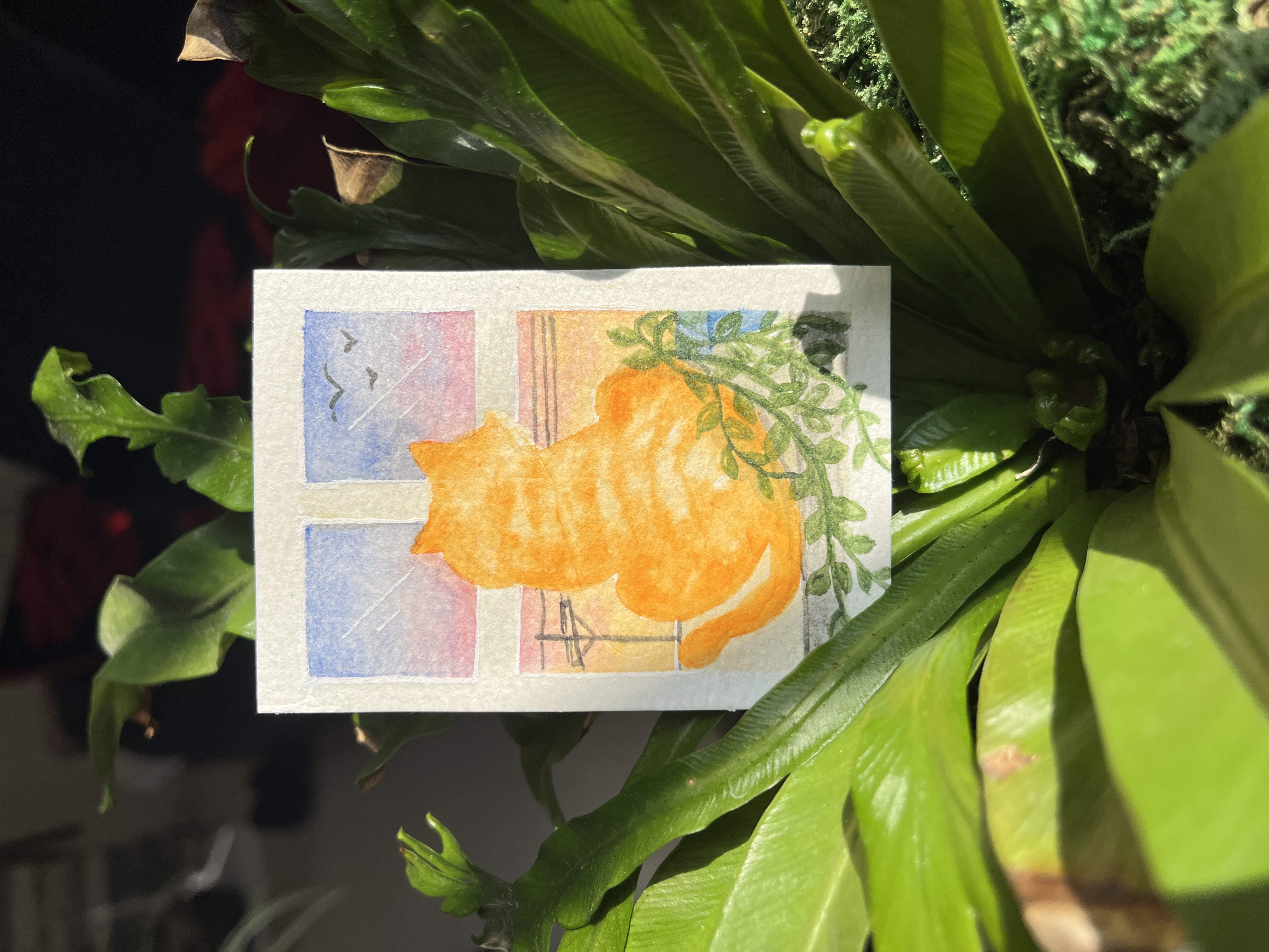 In Another Life: House Cat, Animals ACEO by Koodoodles