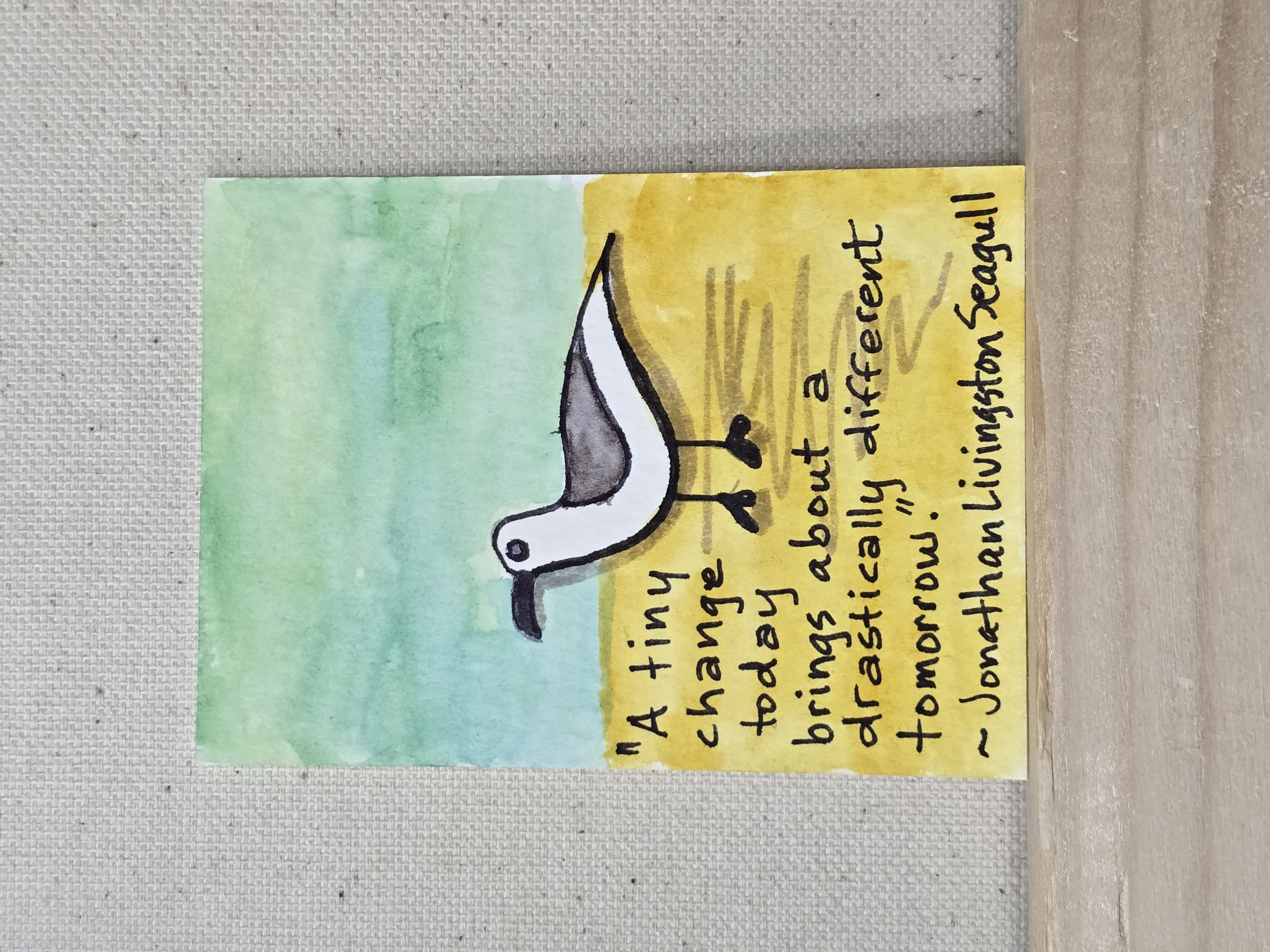 Seagull Words of Wisdom, Animals ACEO by Jo Claire Hall