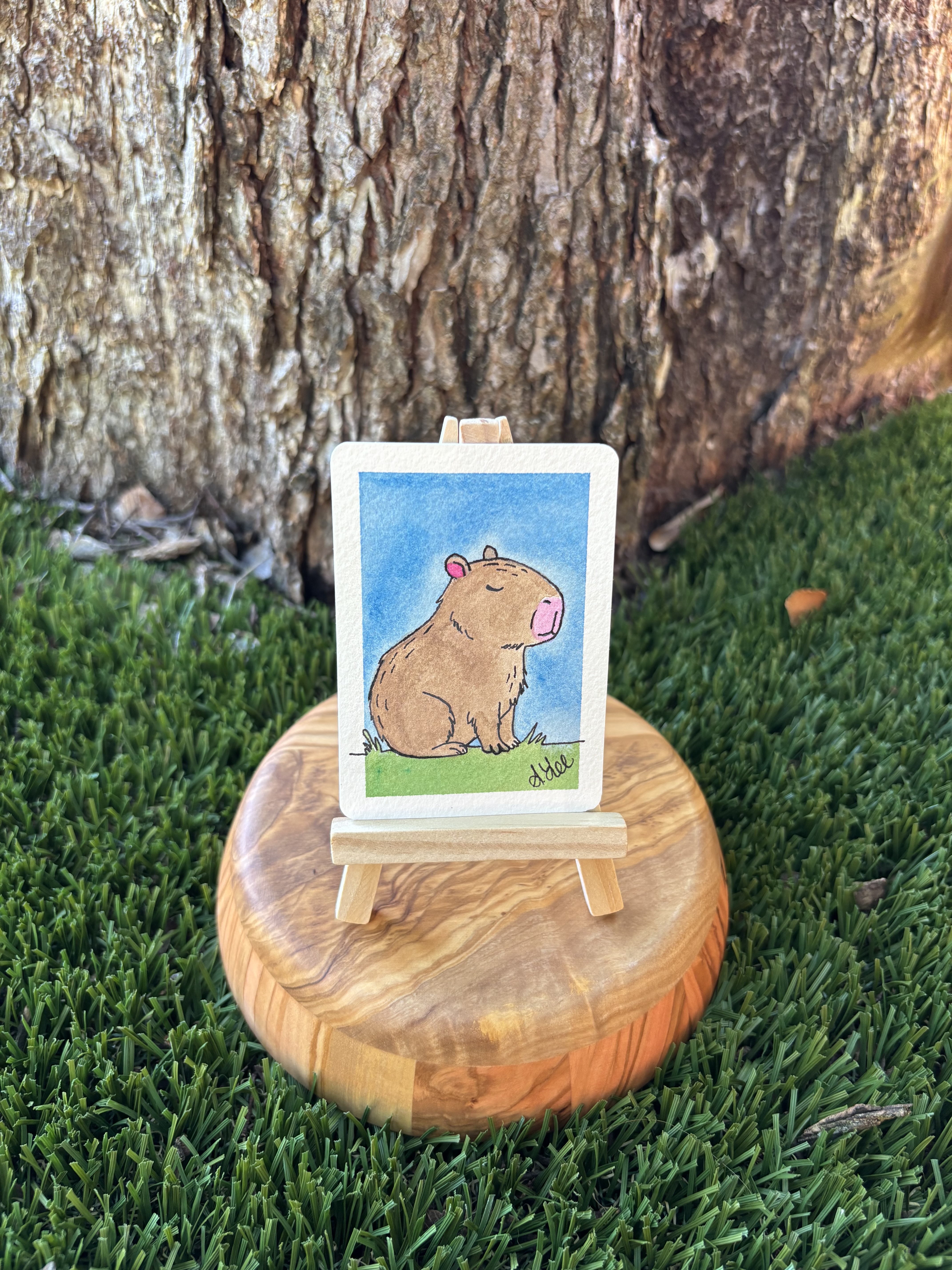Cassidy the Caby, Animals ACEO by Stacy Rogers