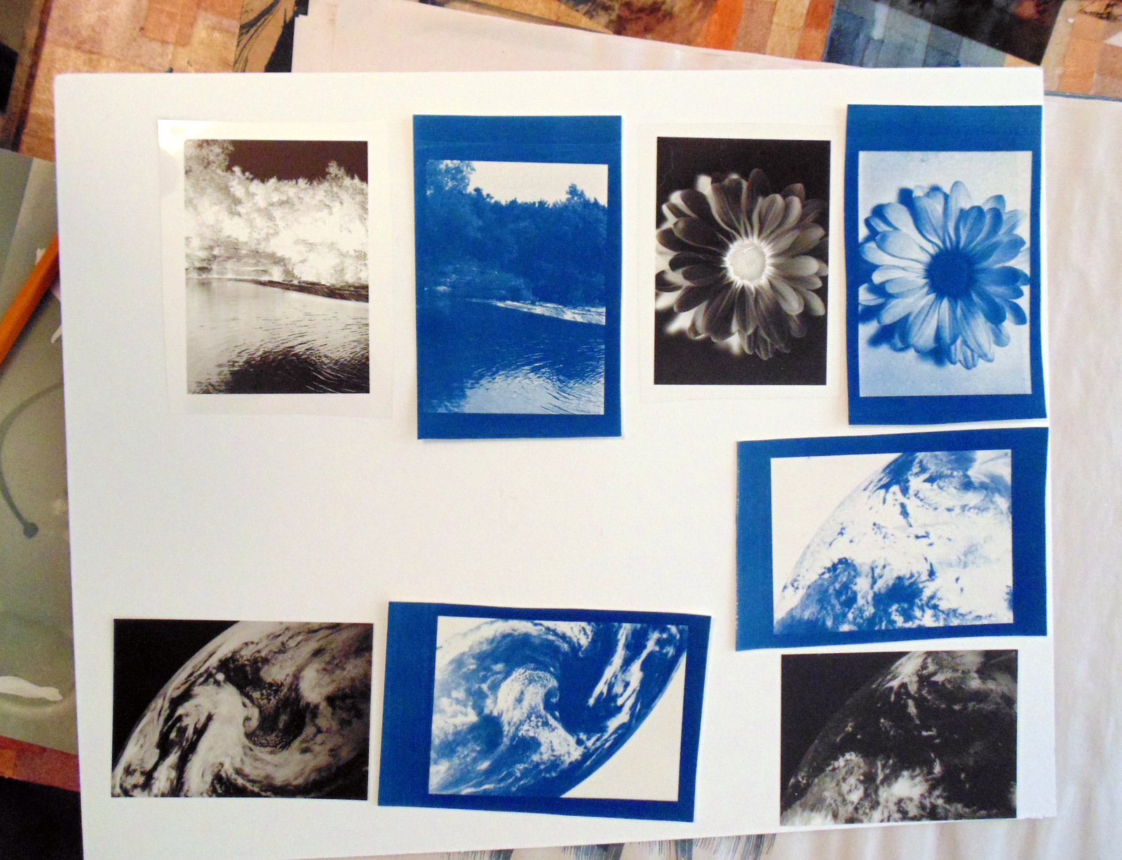 Moon Rose process image 1 by Sarah Witte