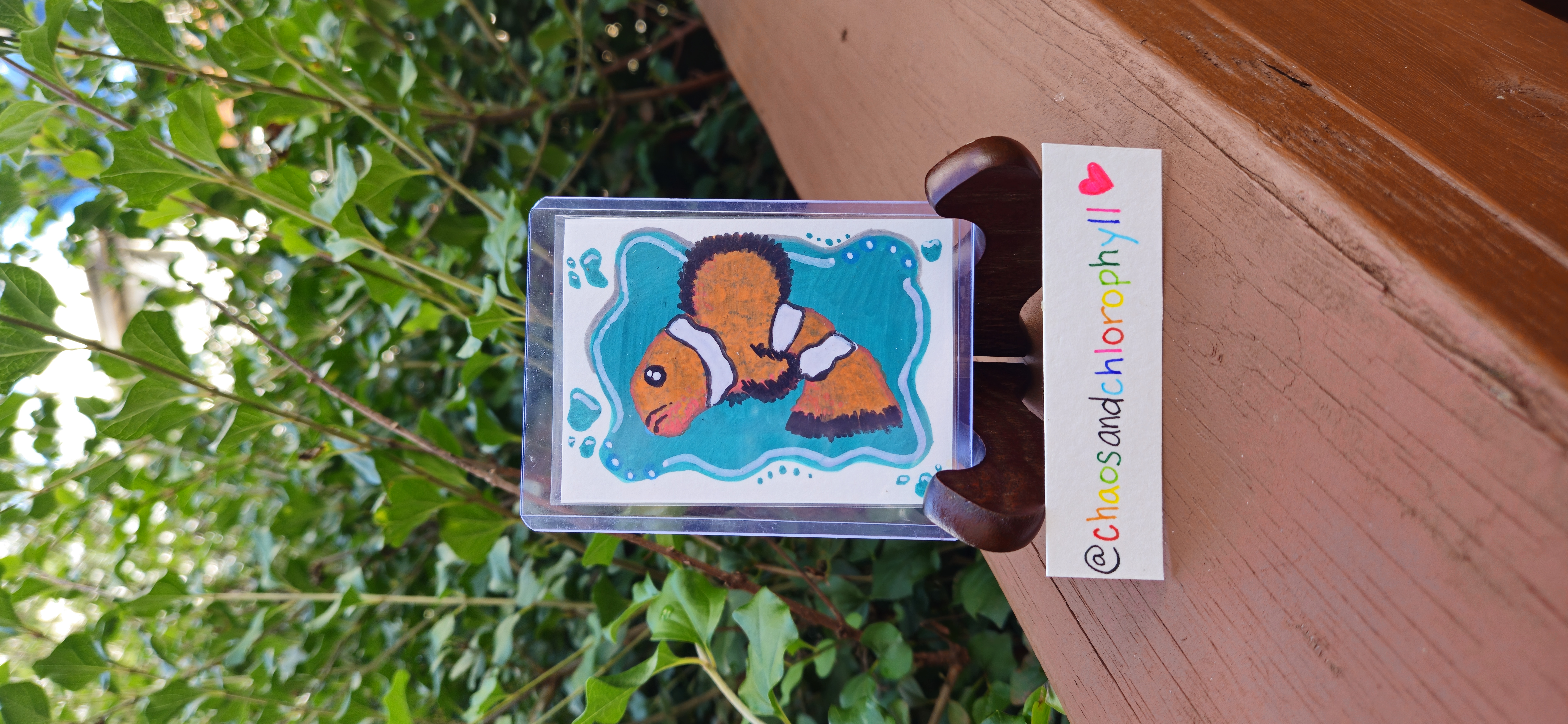 Marlin, Animals ACEO by Abigail Stevens