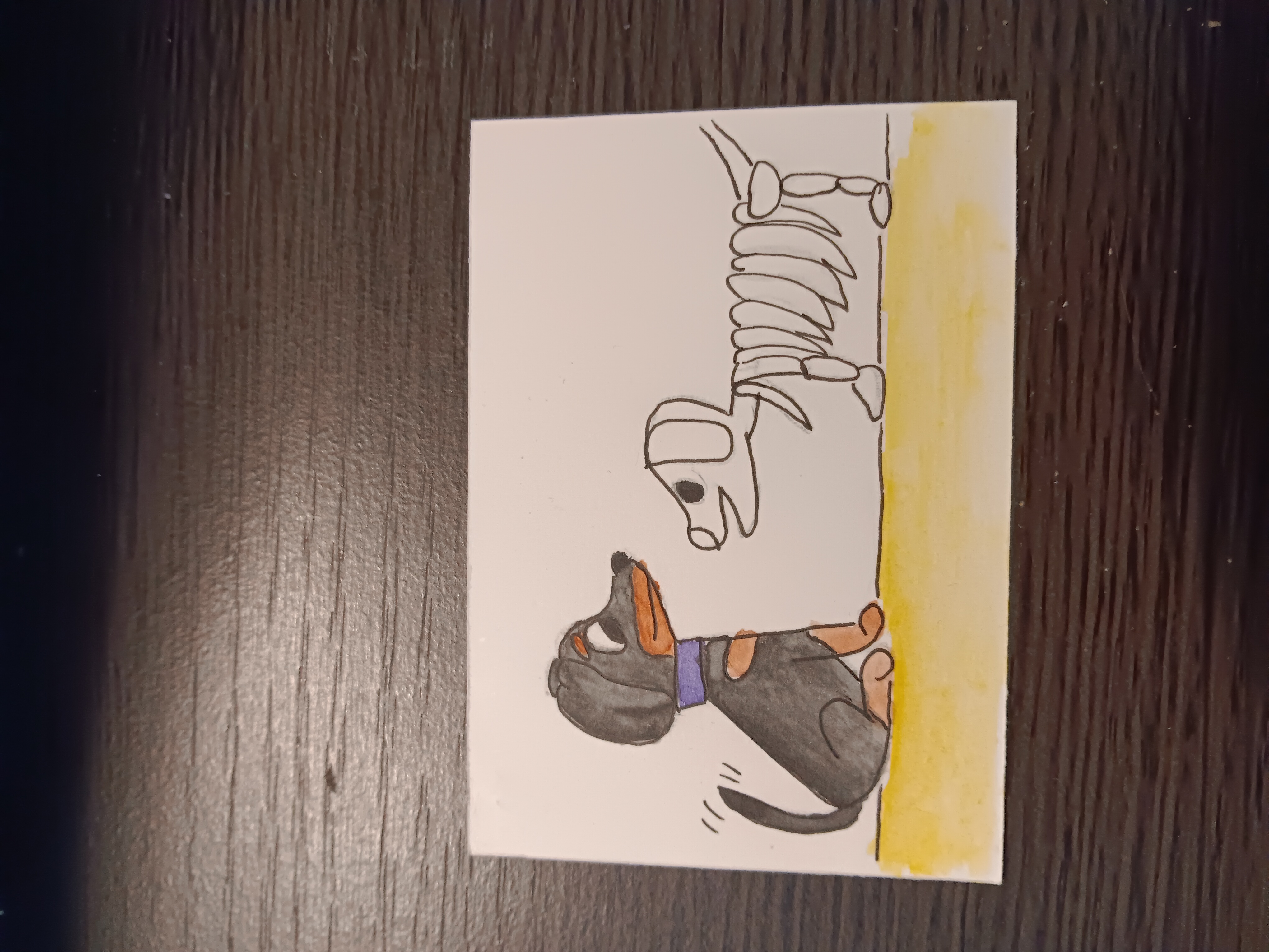 Destructo the Doxie, Animals ACEO by Ashley Ball