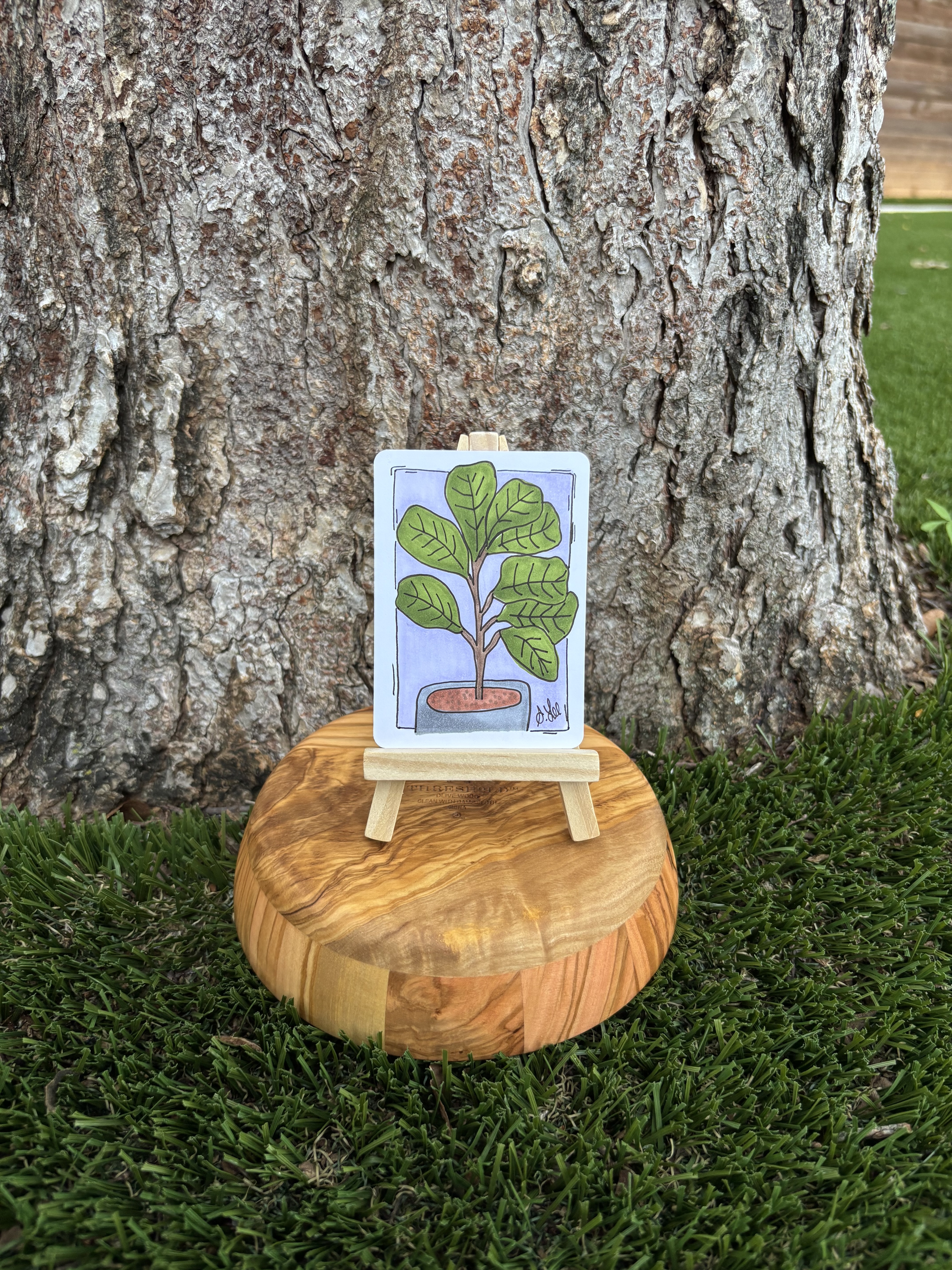Fred the Fig, Botanical ACEO by Stacy Rogers