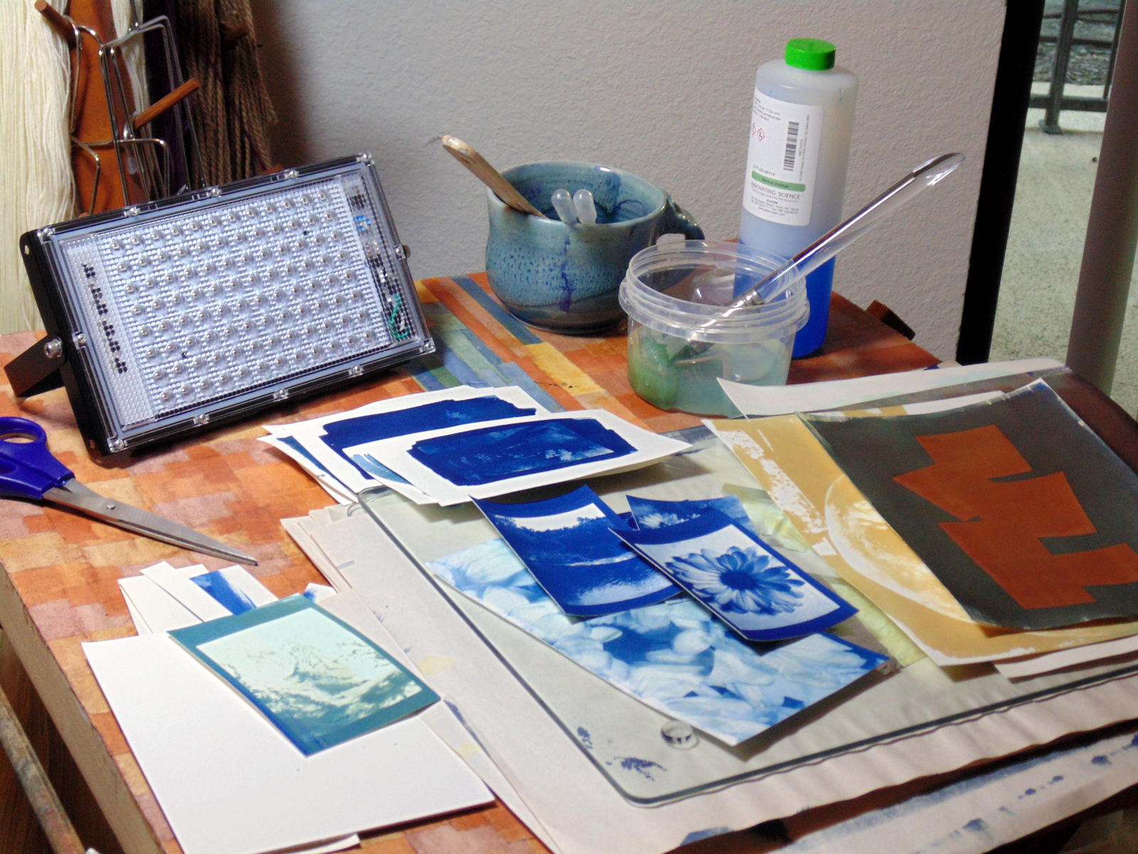 Agave/Ink 2 ACEOs process image 1 by Sarah Witte