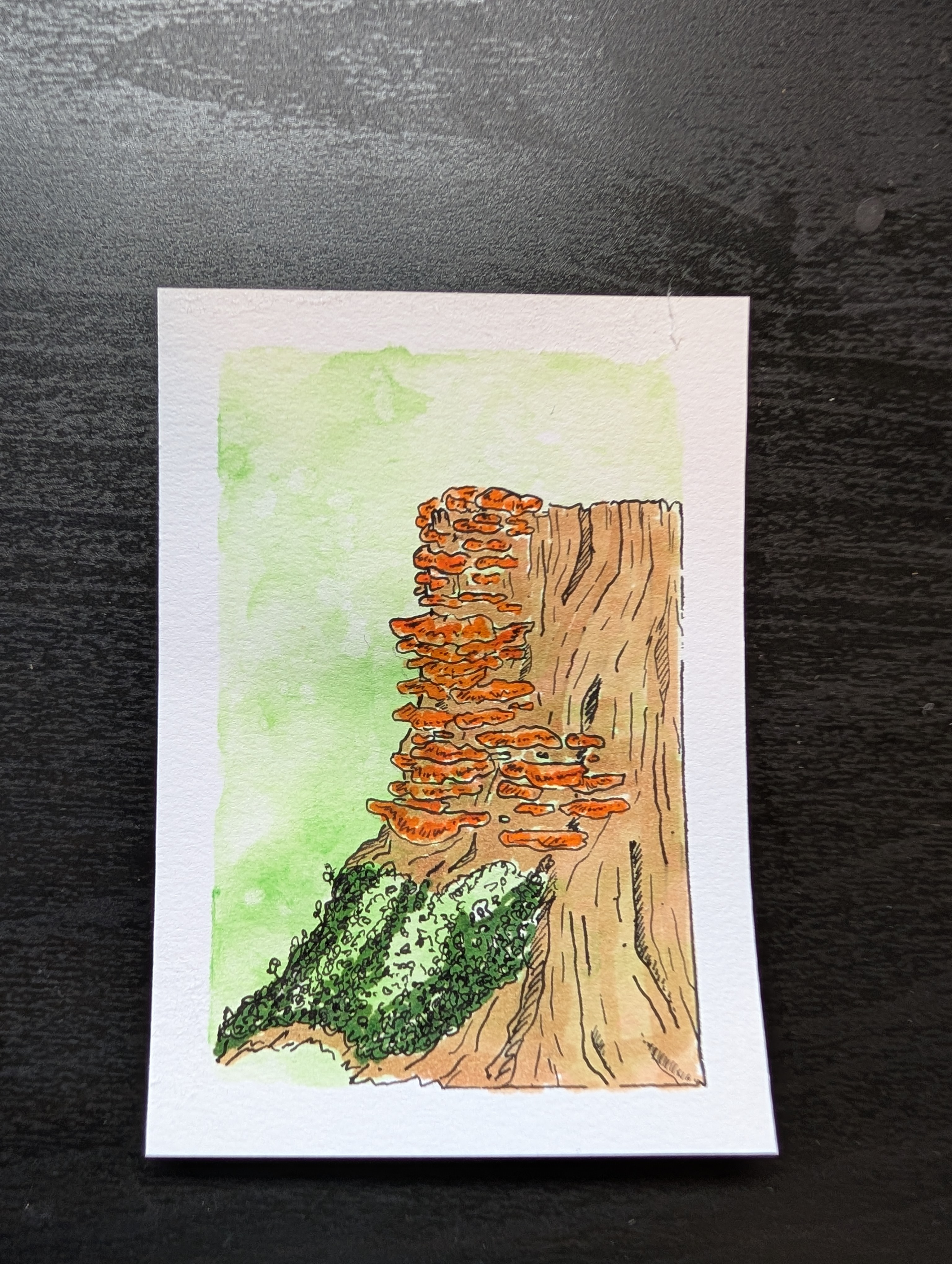 Chicken of the woods on verdant, Nature ACEO by Brittany Fellenz