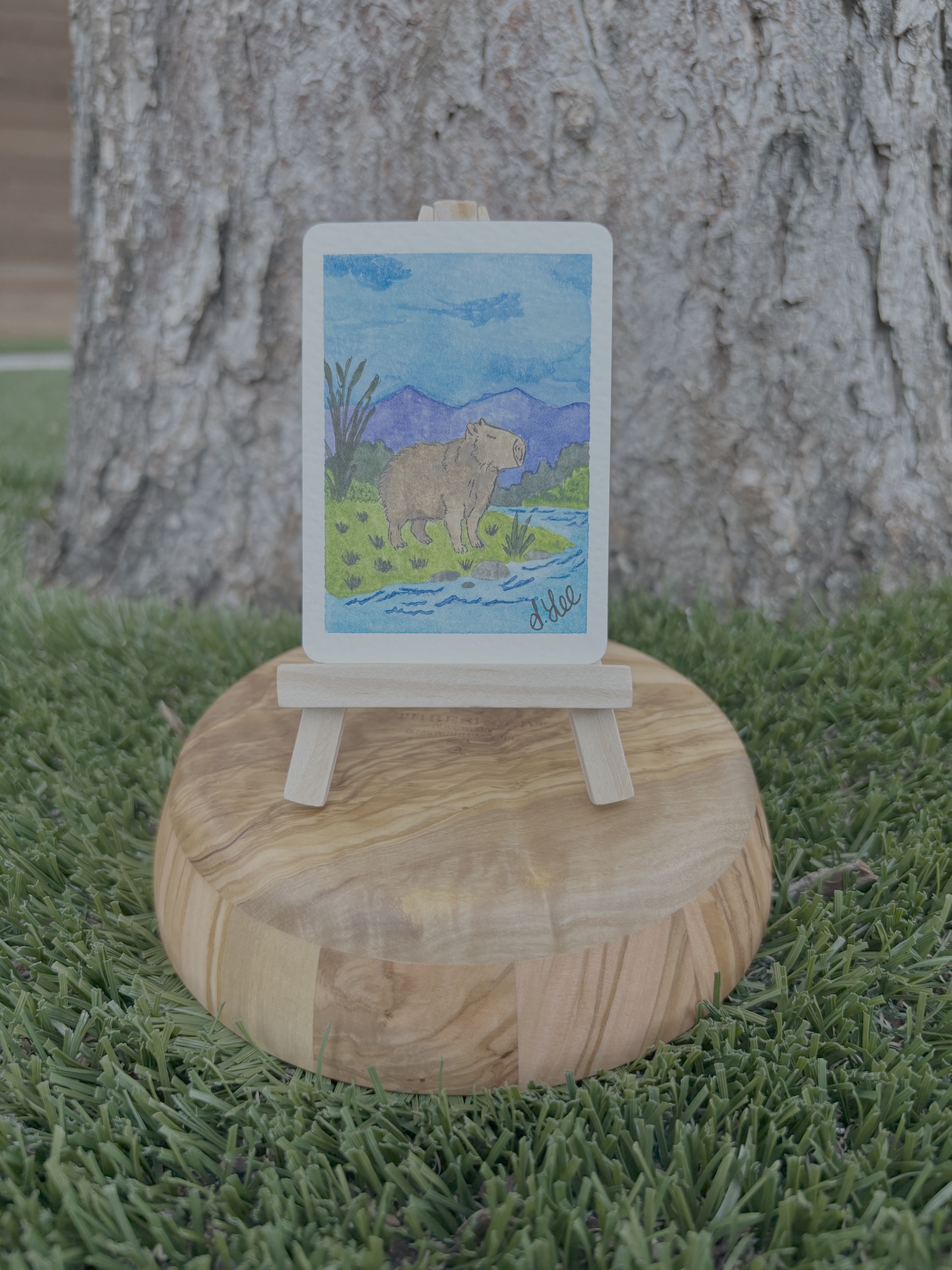 Caby Zen, Animals ACEO by Stacy Rogers