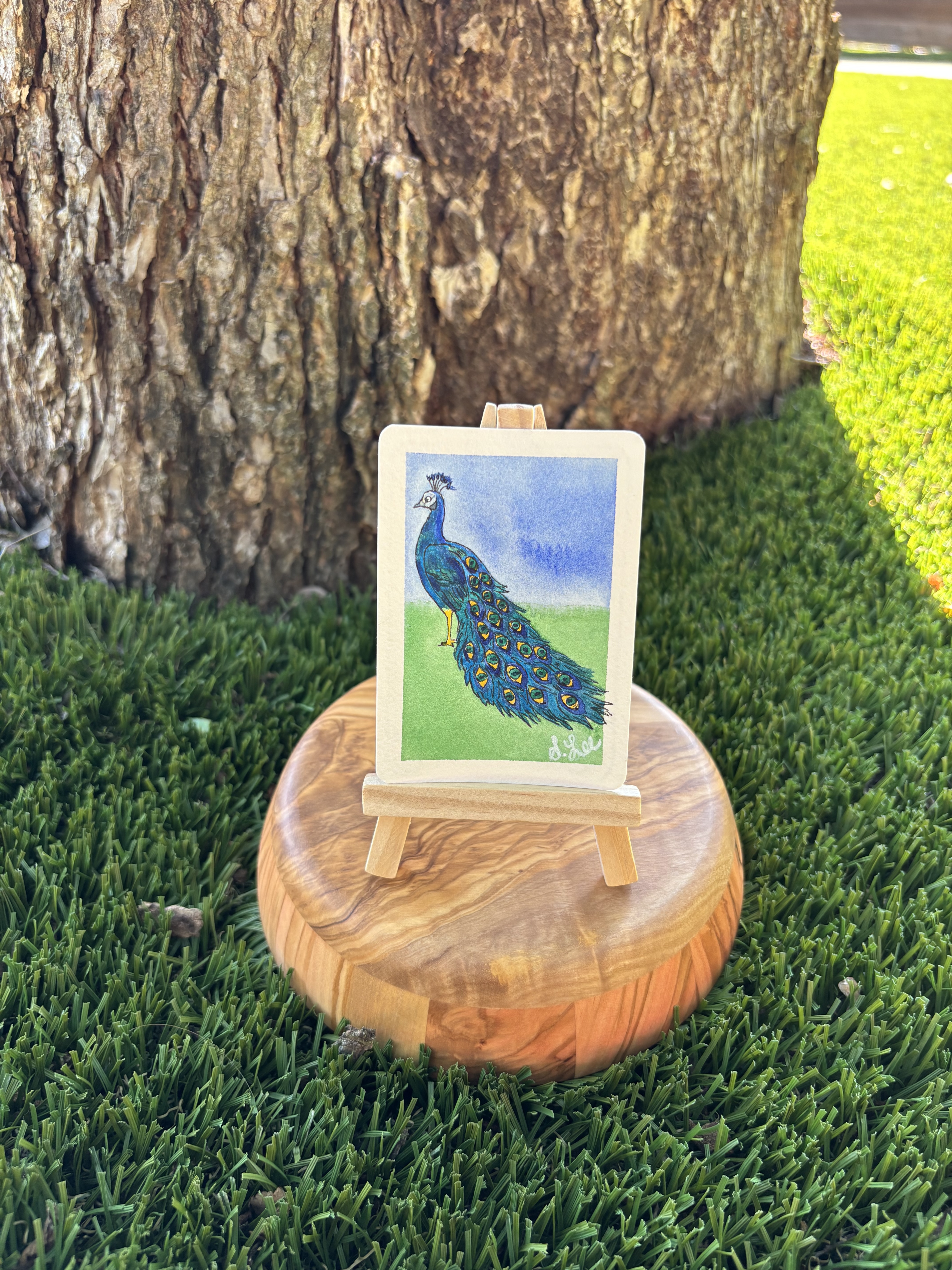 Peter the Peacock, Animals ACEO by Stacy Rogers
