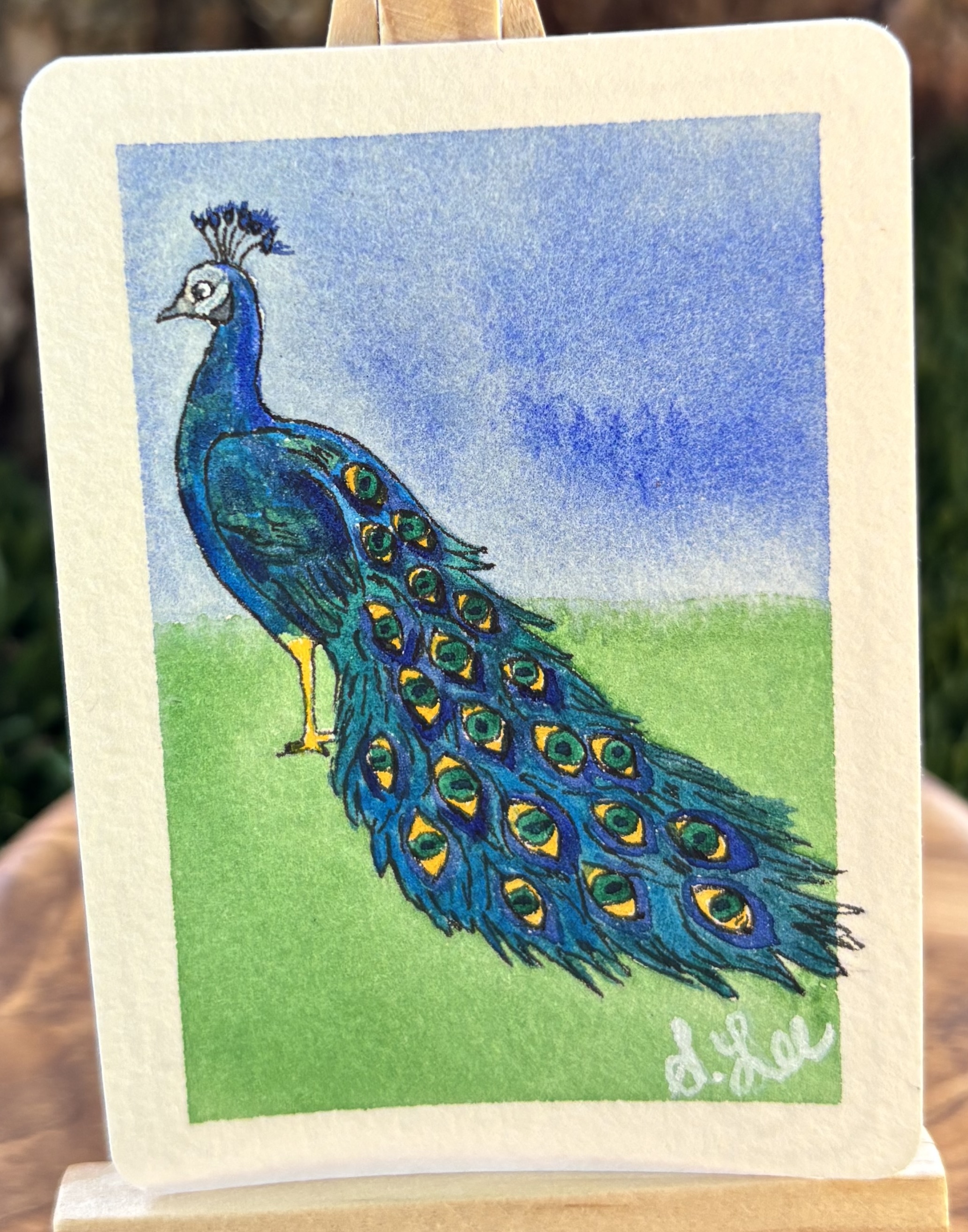Peter the Peacock detail image 2 by Stacy Rogers