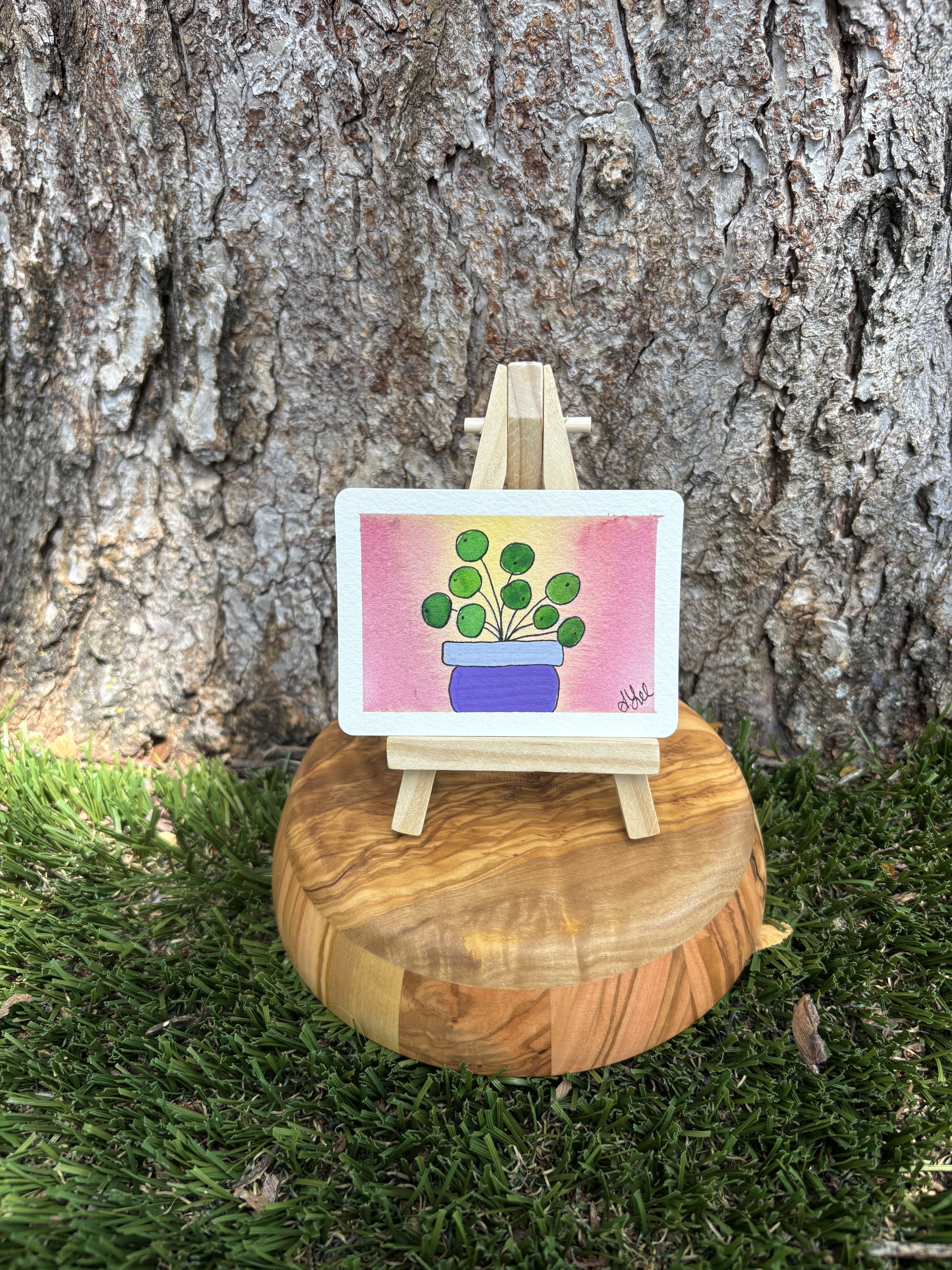 Paige the Pilea, Botanical ACEO by Stacy Rogers