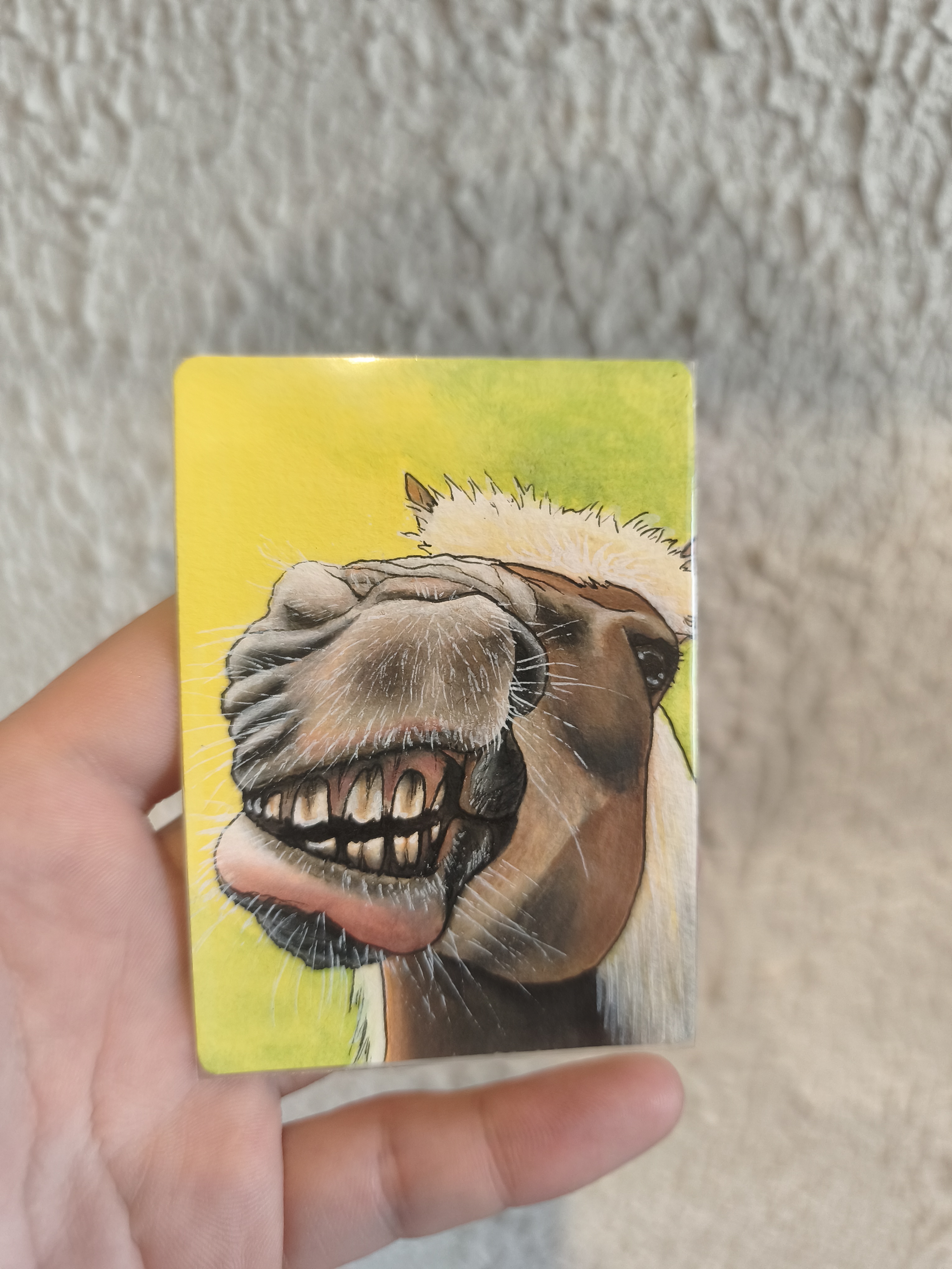 Une haleine de poney, Animals ACEO by Sandra.Z Art Animalier