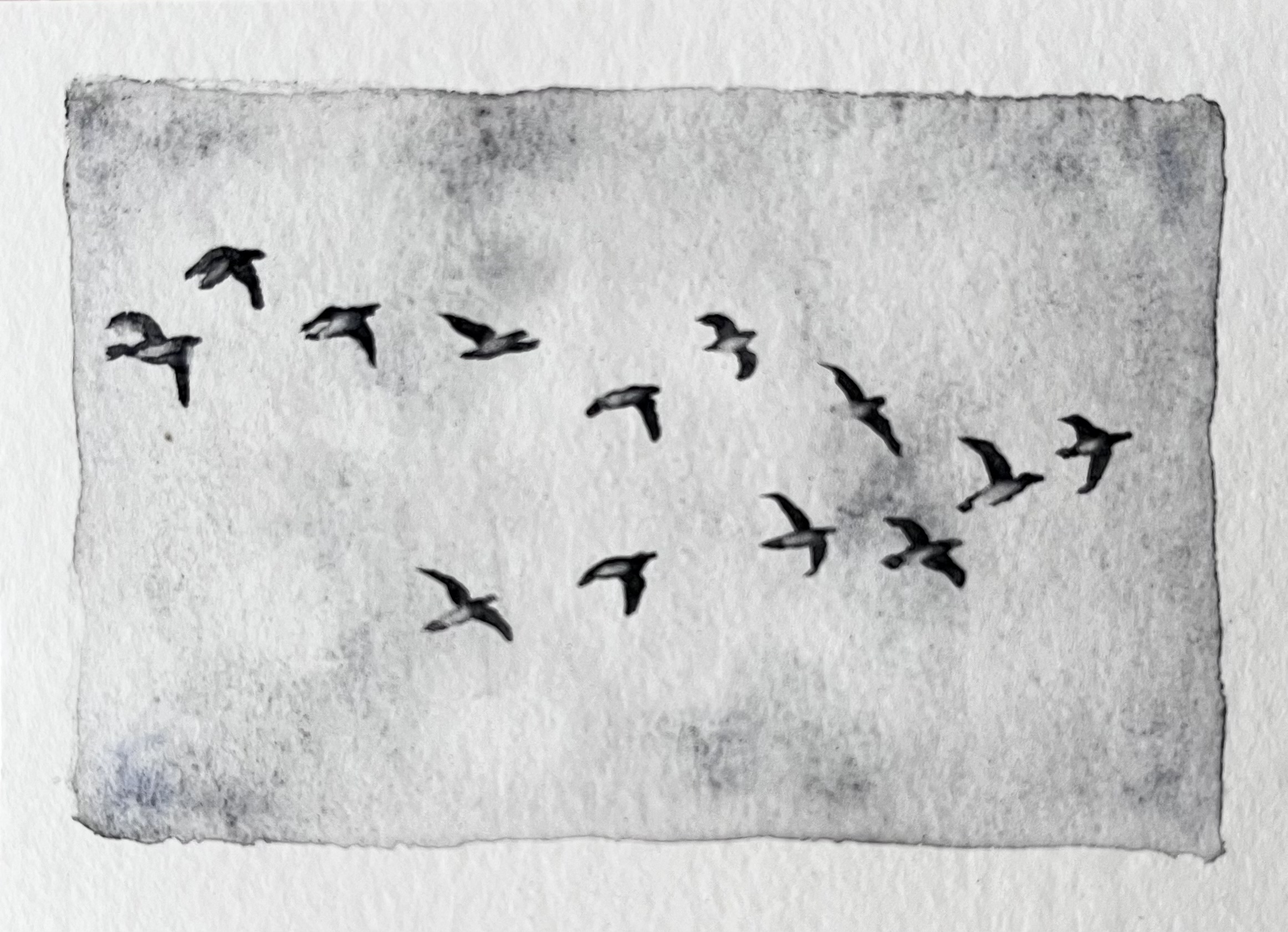 Birds in Flight detail image 2 by Nina