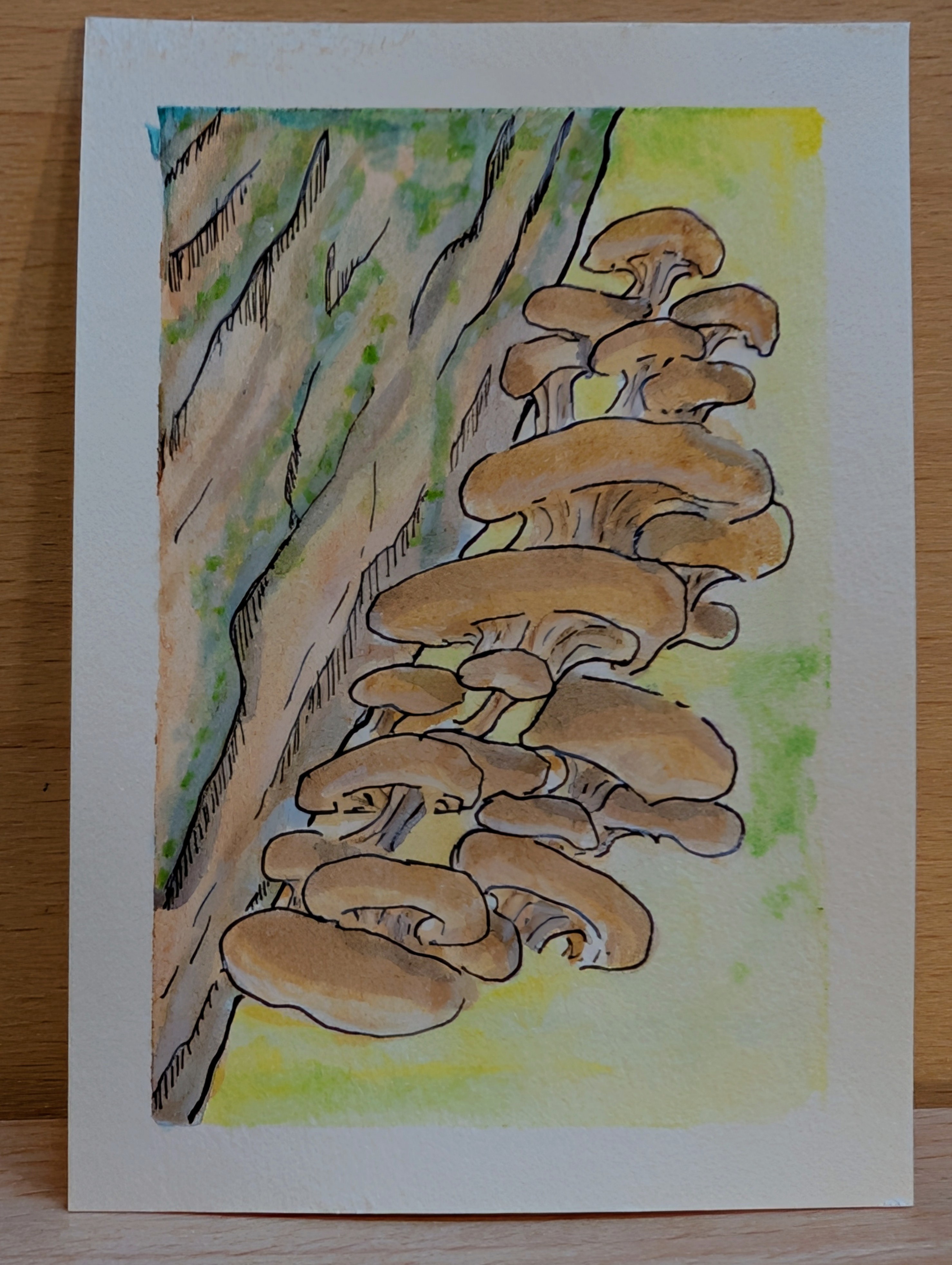 Cluster of Fungi, Nature ACEO by Brittany Fellenz