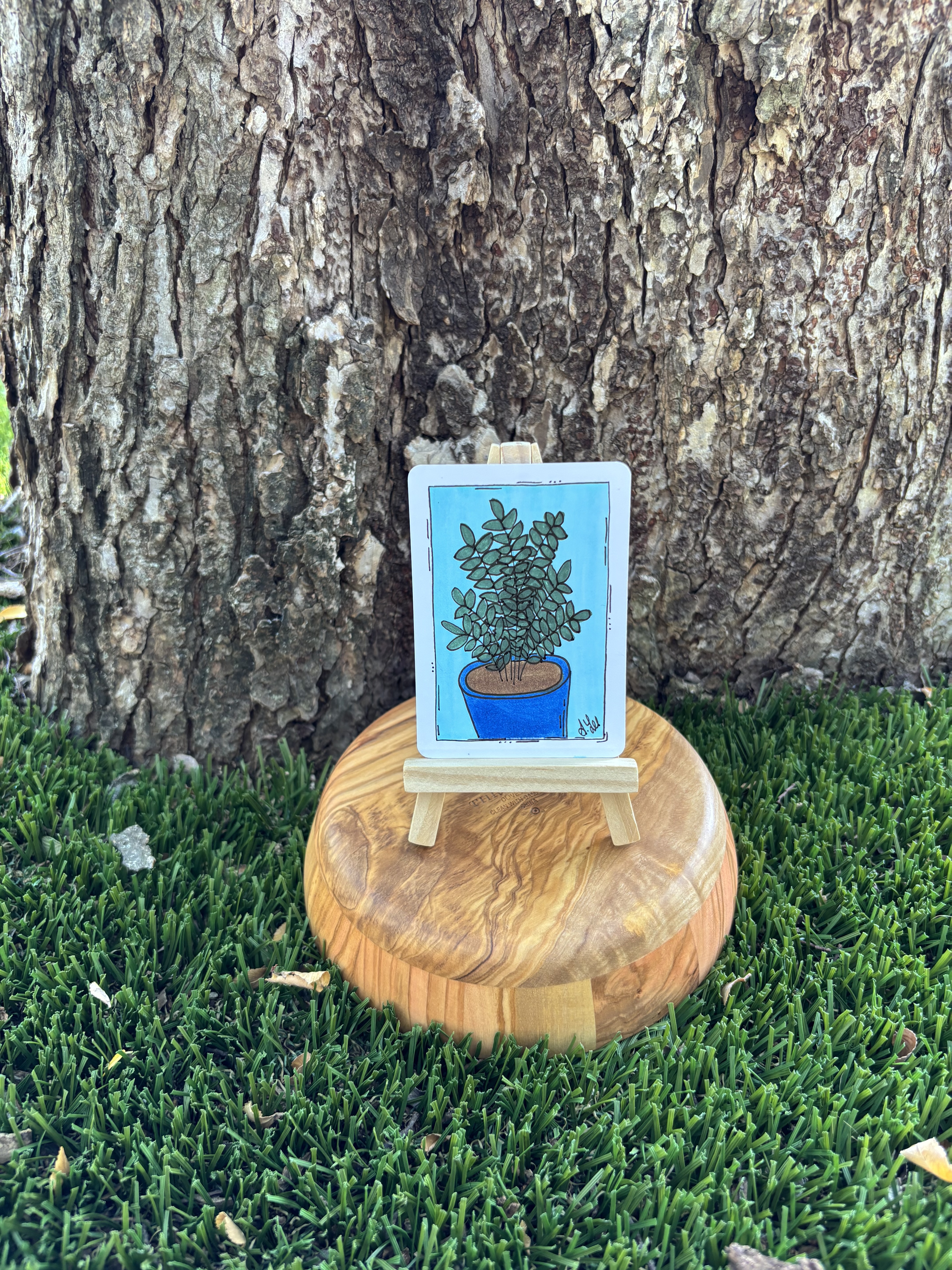 Sleepy the ZZ Plant, Nature ACEO by Stacy Lee