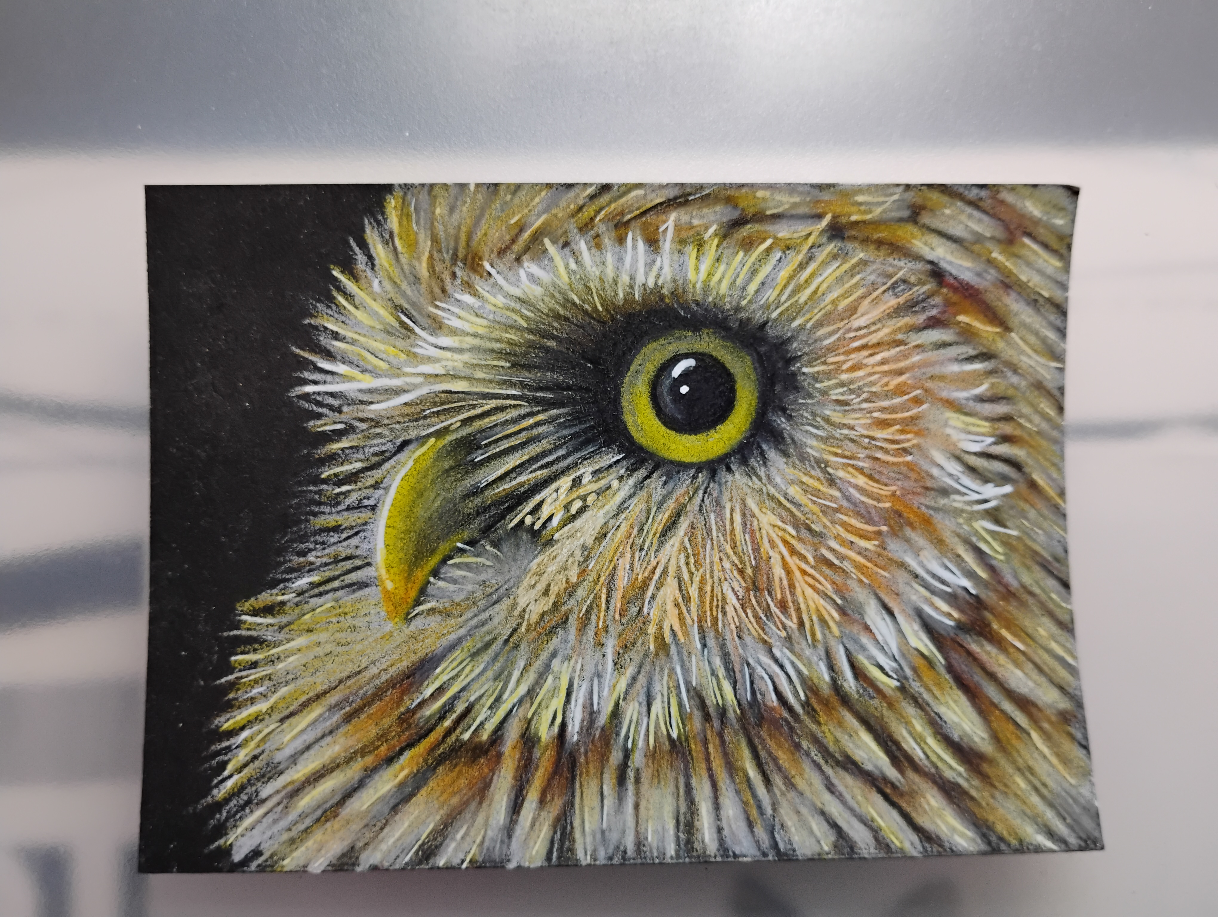 The eye of the owl, Animals ACEO by Natasha Lovell