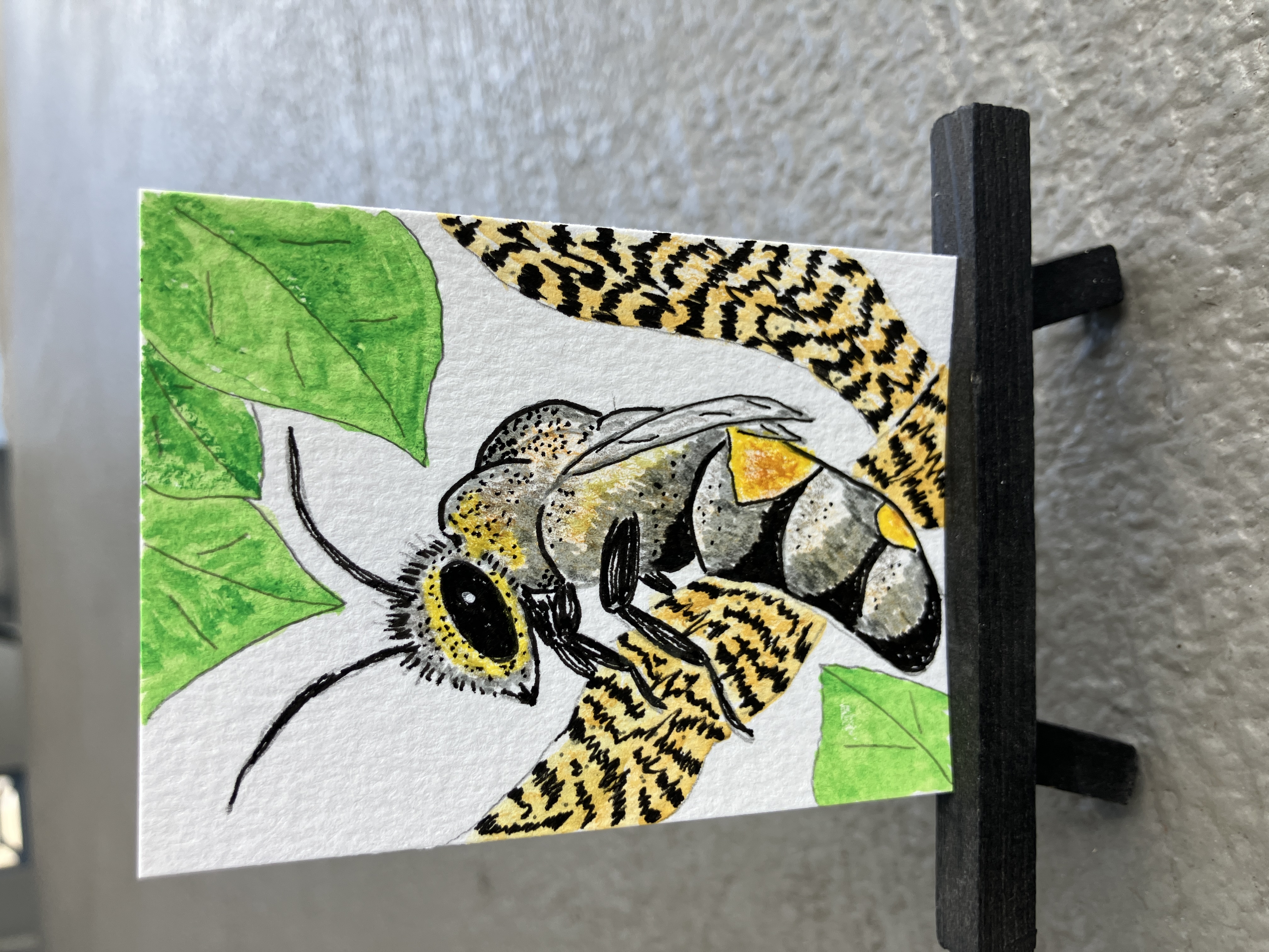 Honeybee, Animals ACEO by Daniel Goodwin
