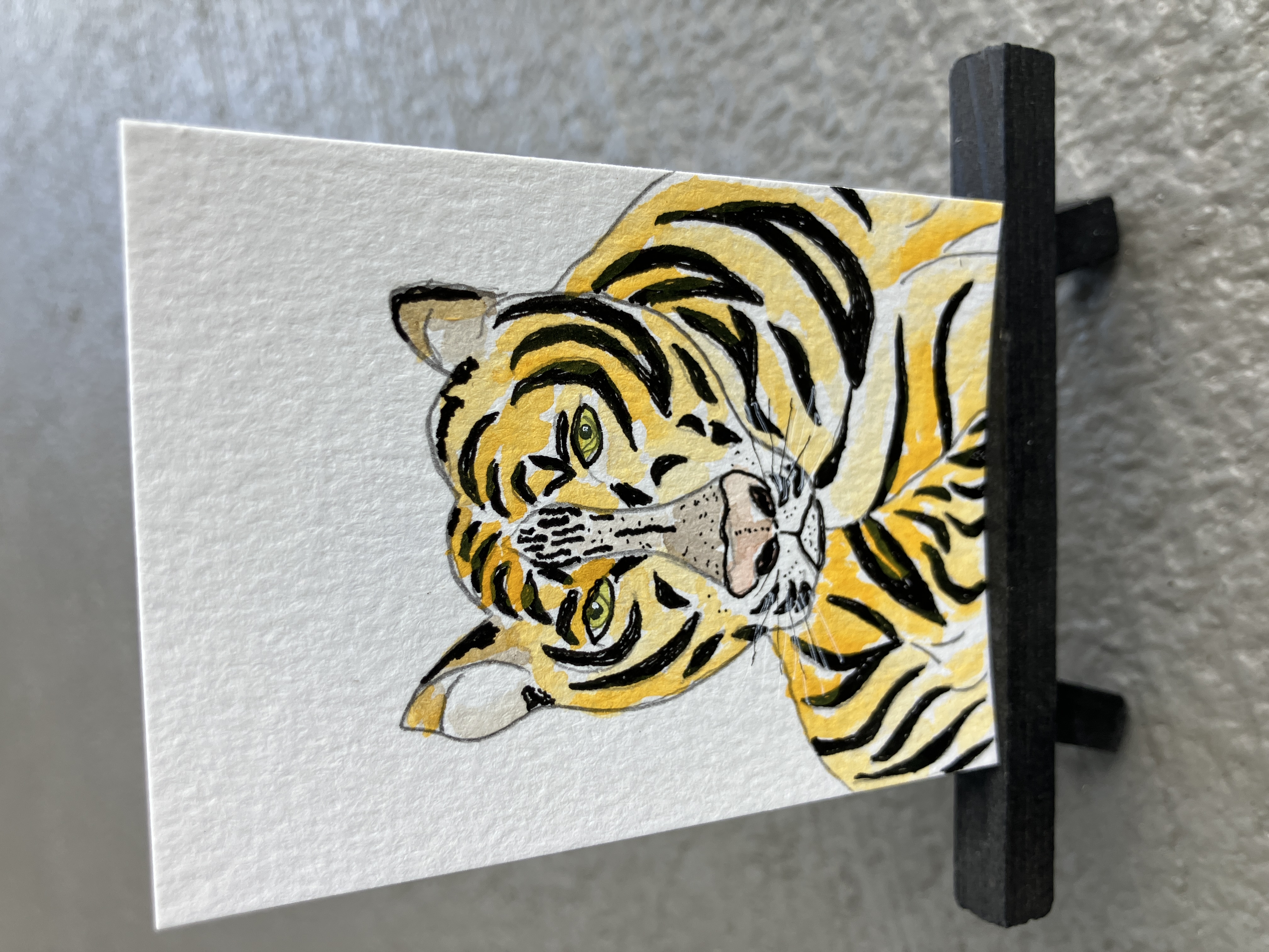 Tiger, Animals ACEO by Daniel Goodwin