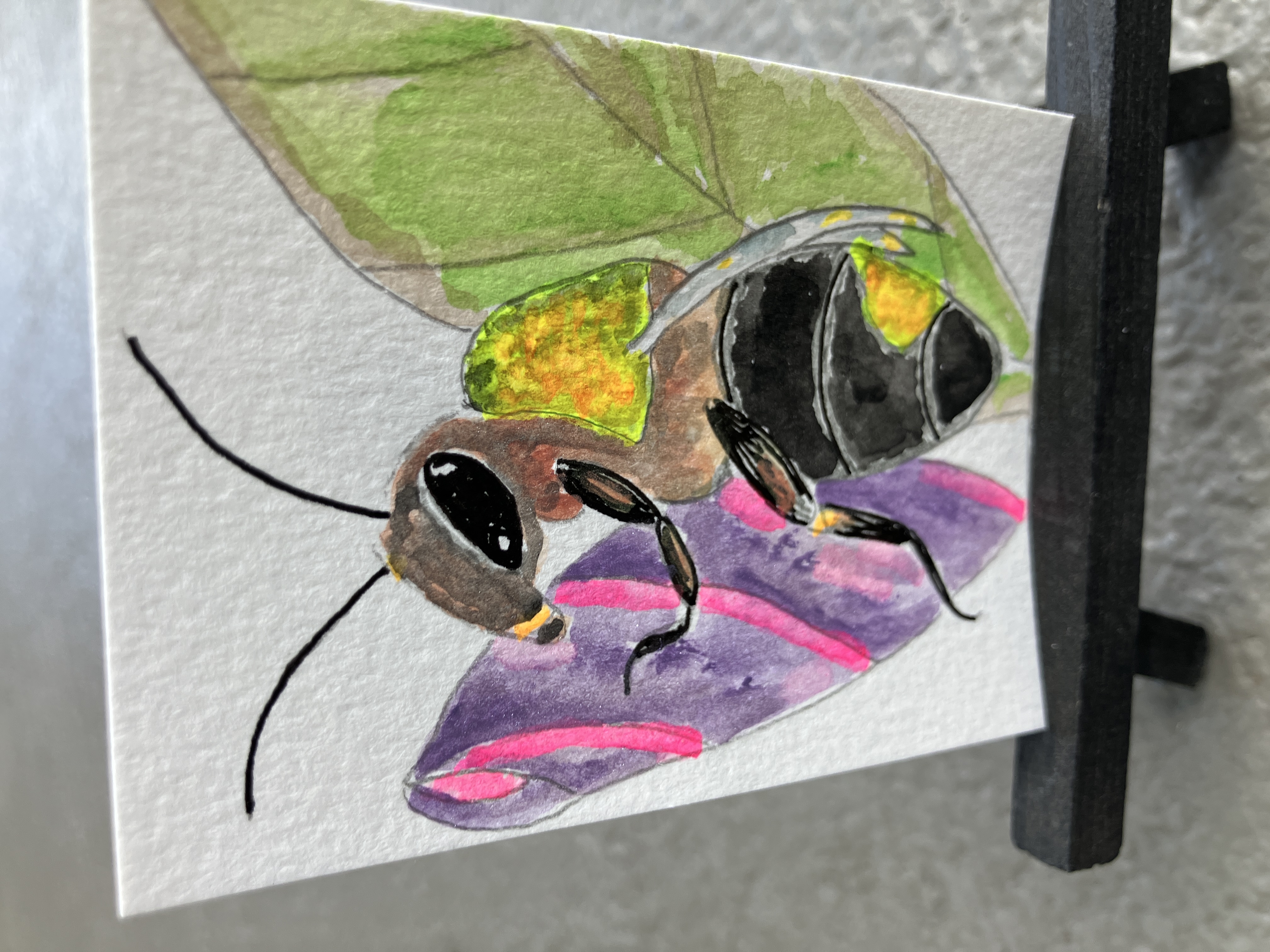 Bumblebee, Animals ACEO by Daniel Goodwin