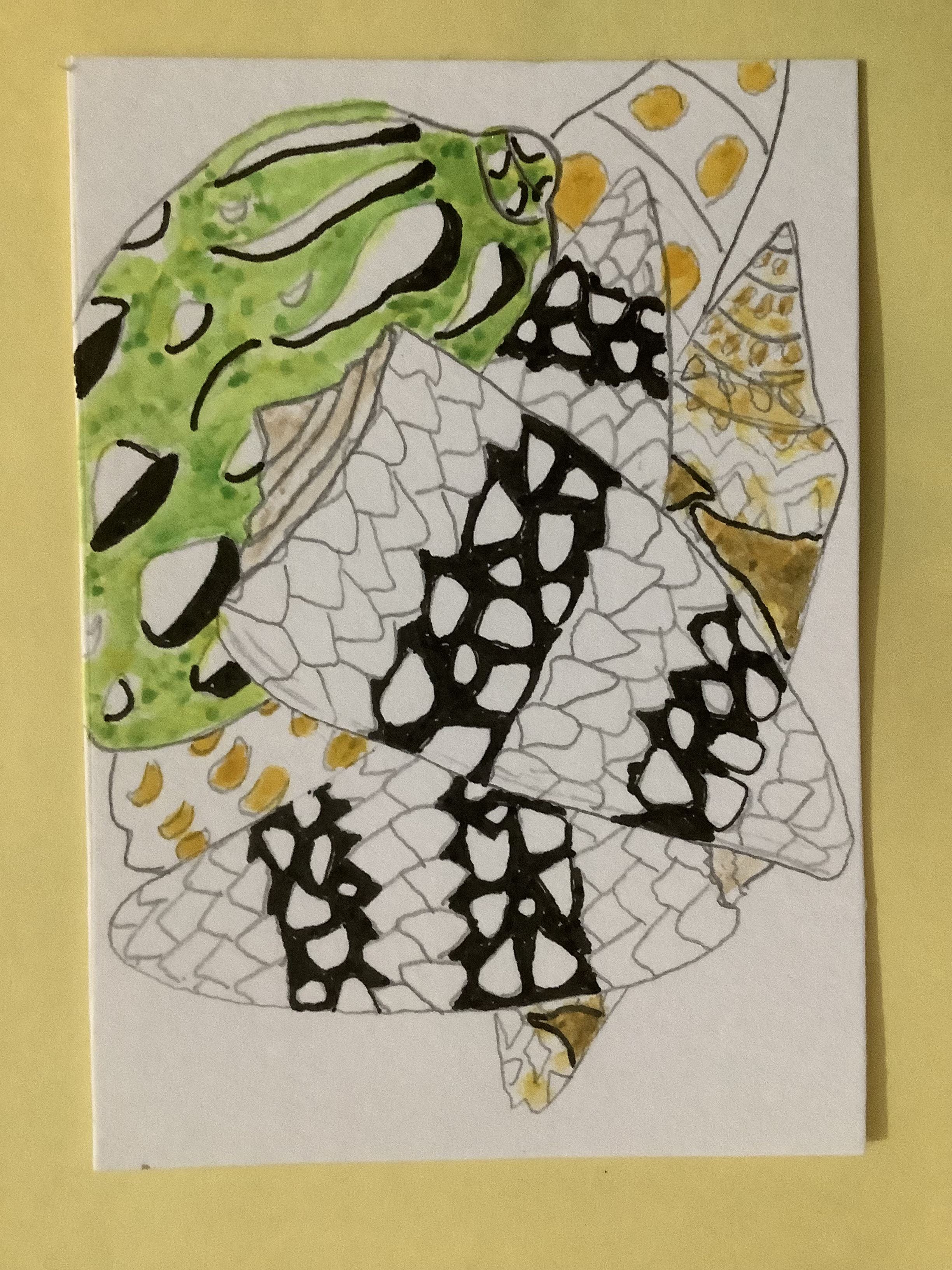 Seashells, Animals ACEO by Daniel Goodwin
