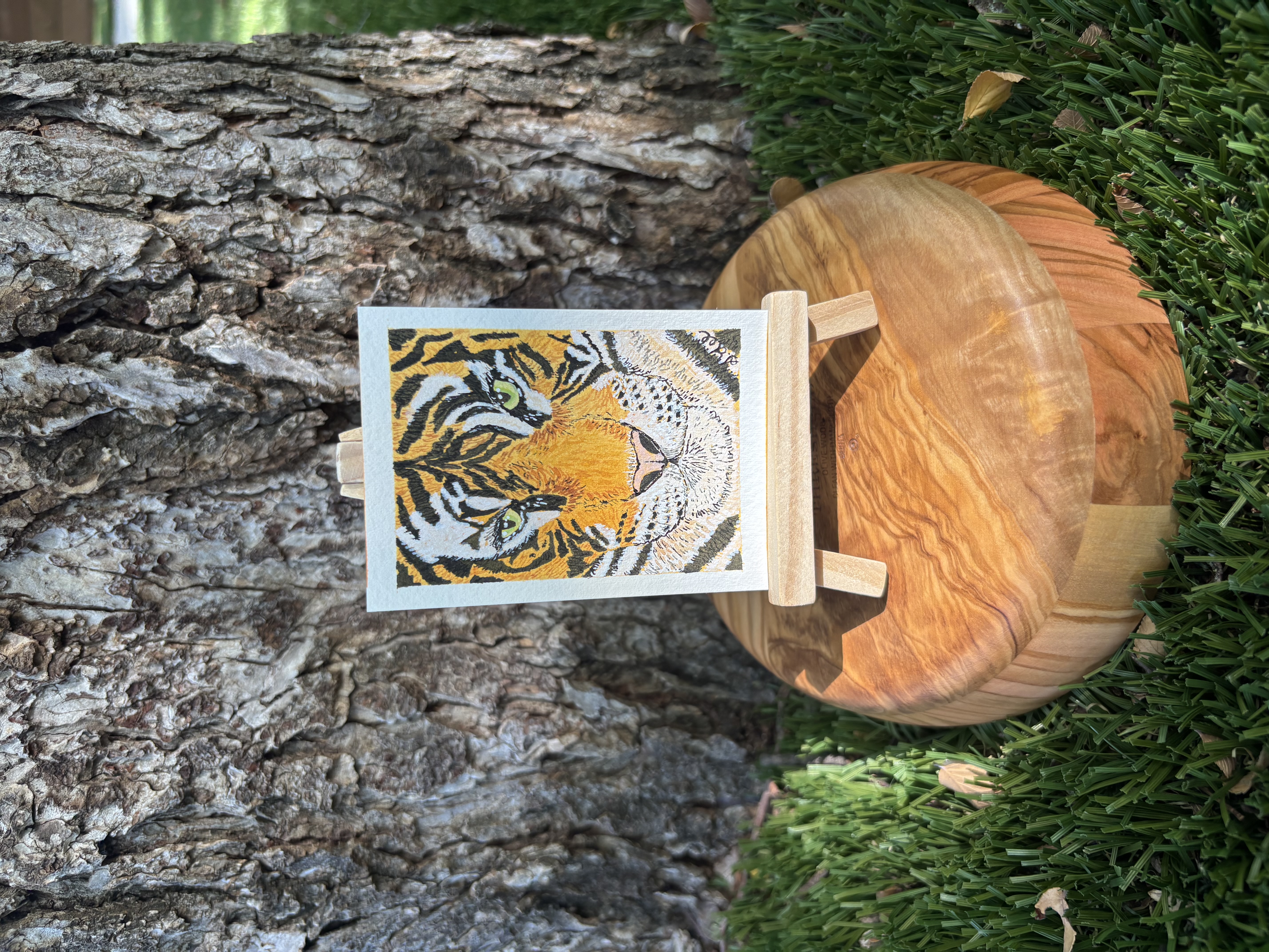 Terry the Tiger, Animals ACEO by Stacy Lee