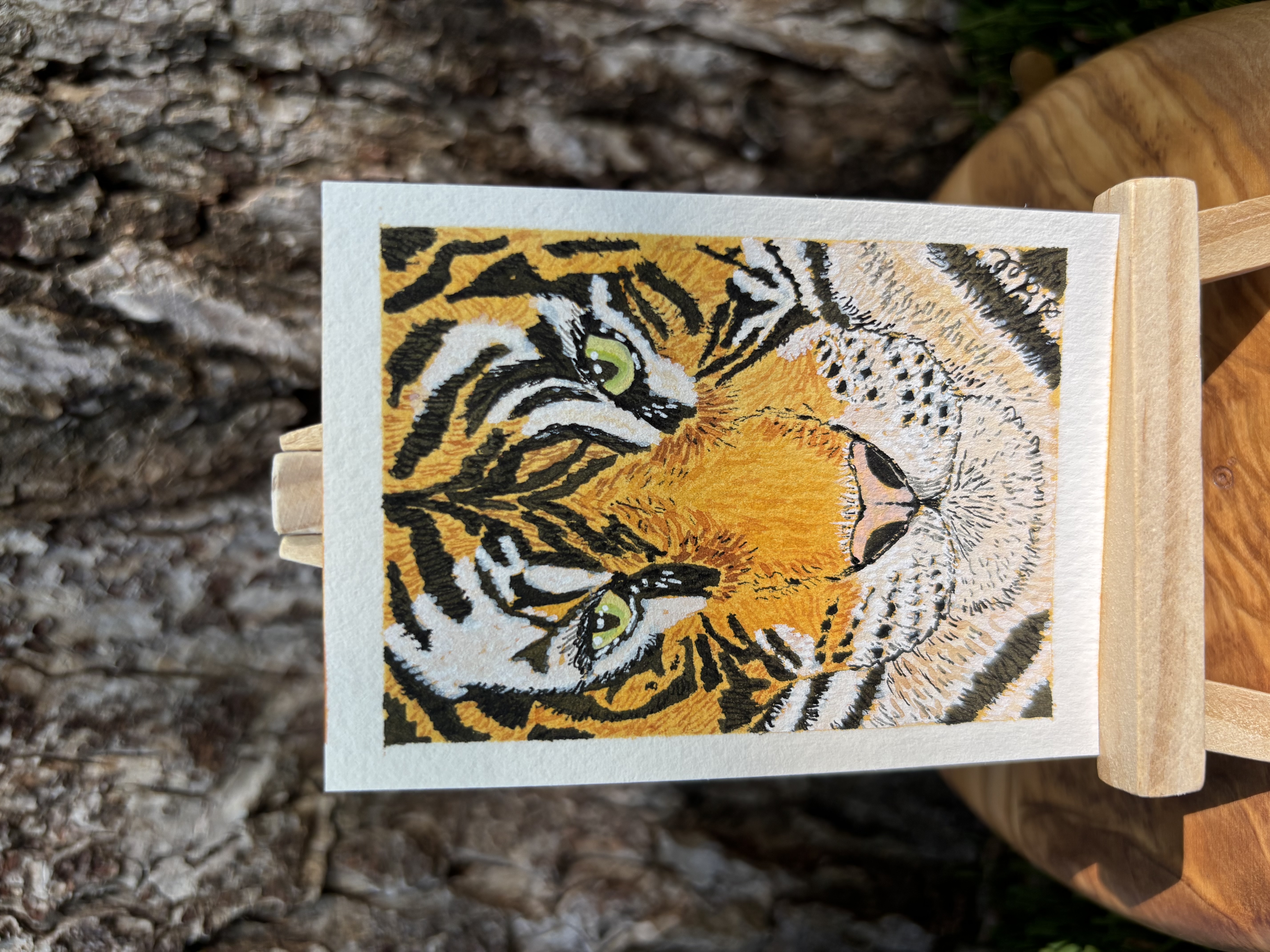 Terry the Tiger detail image 2 by Stacy Lee