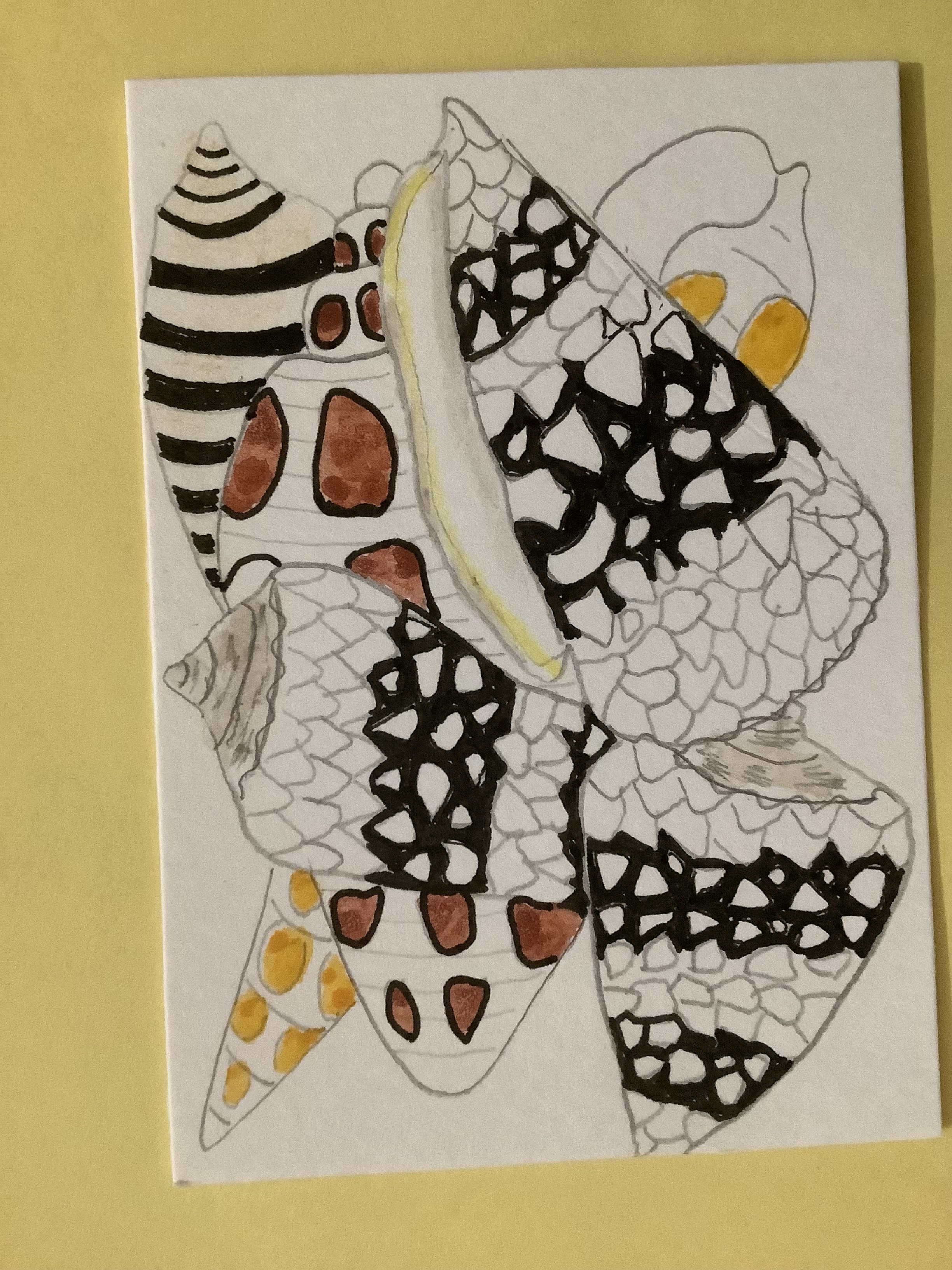 Seashells, Animals ACEO by Daniel Goodwin