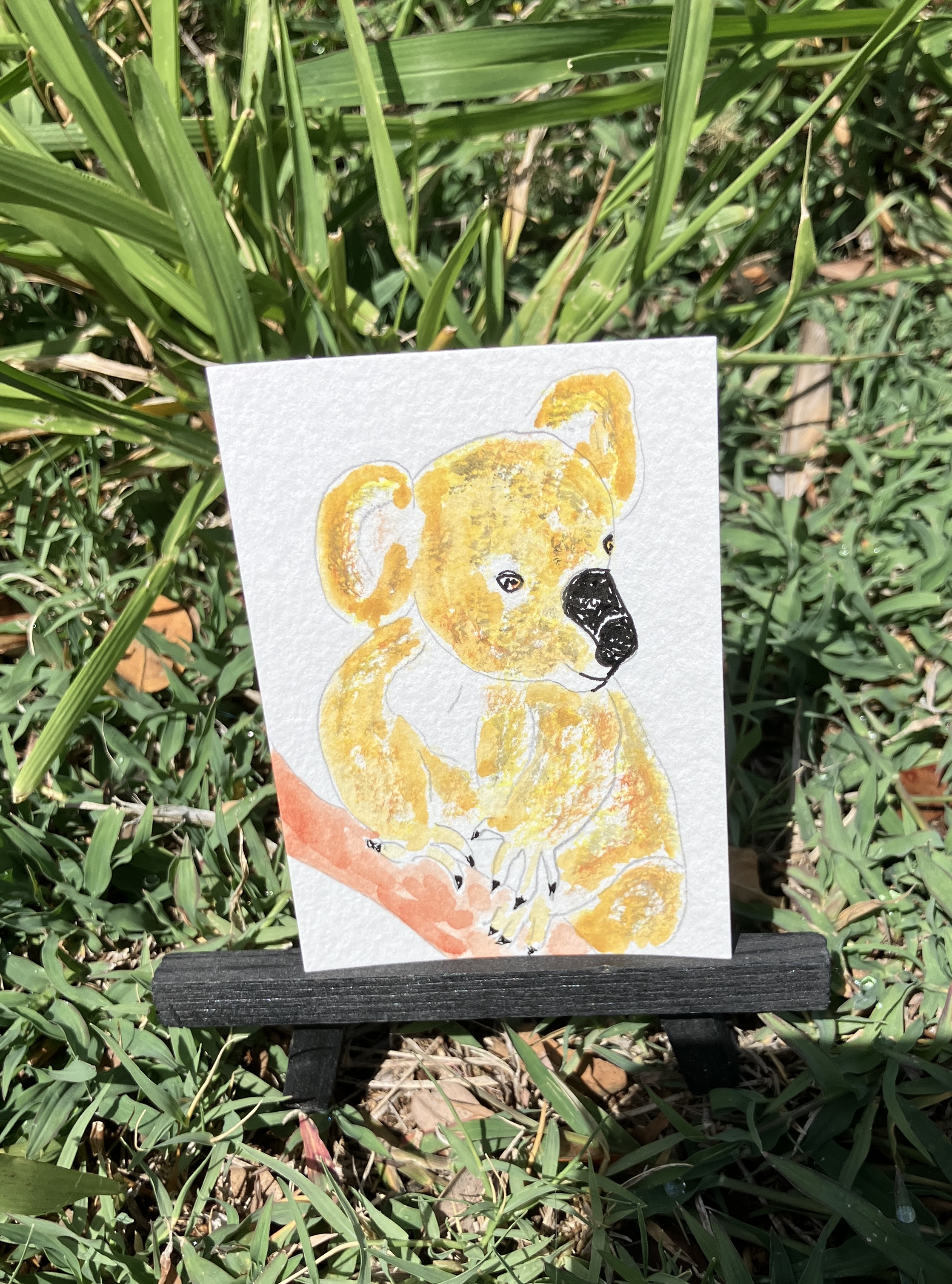 Koala, Animals ACEO by Daniel Goodwin
