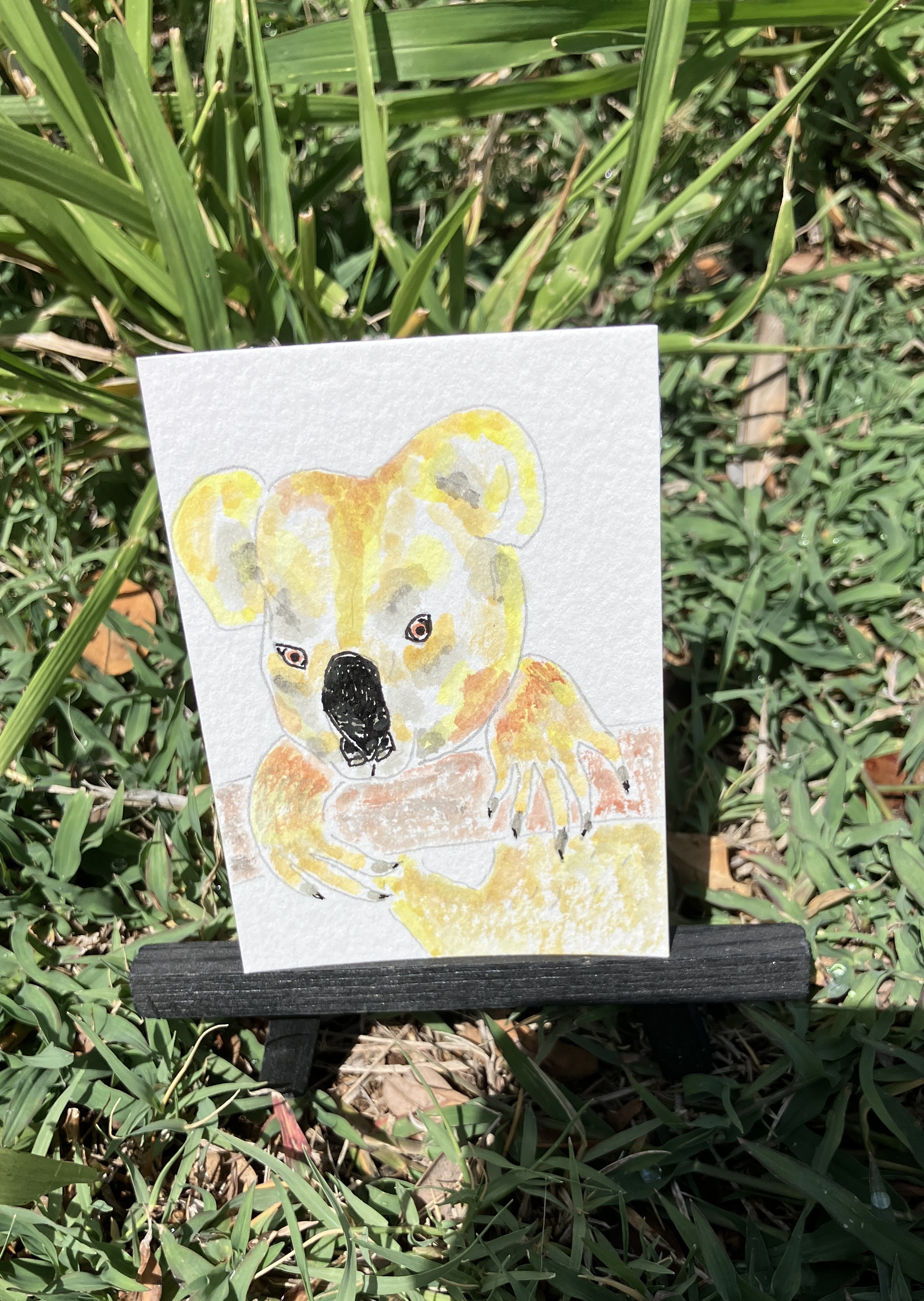 Koala, Animals ACEO by Daniel Goodwin