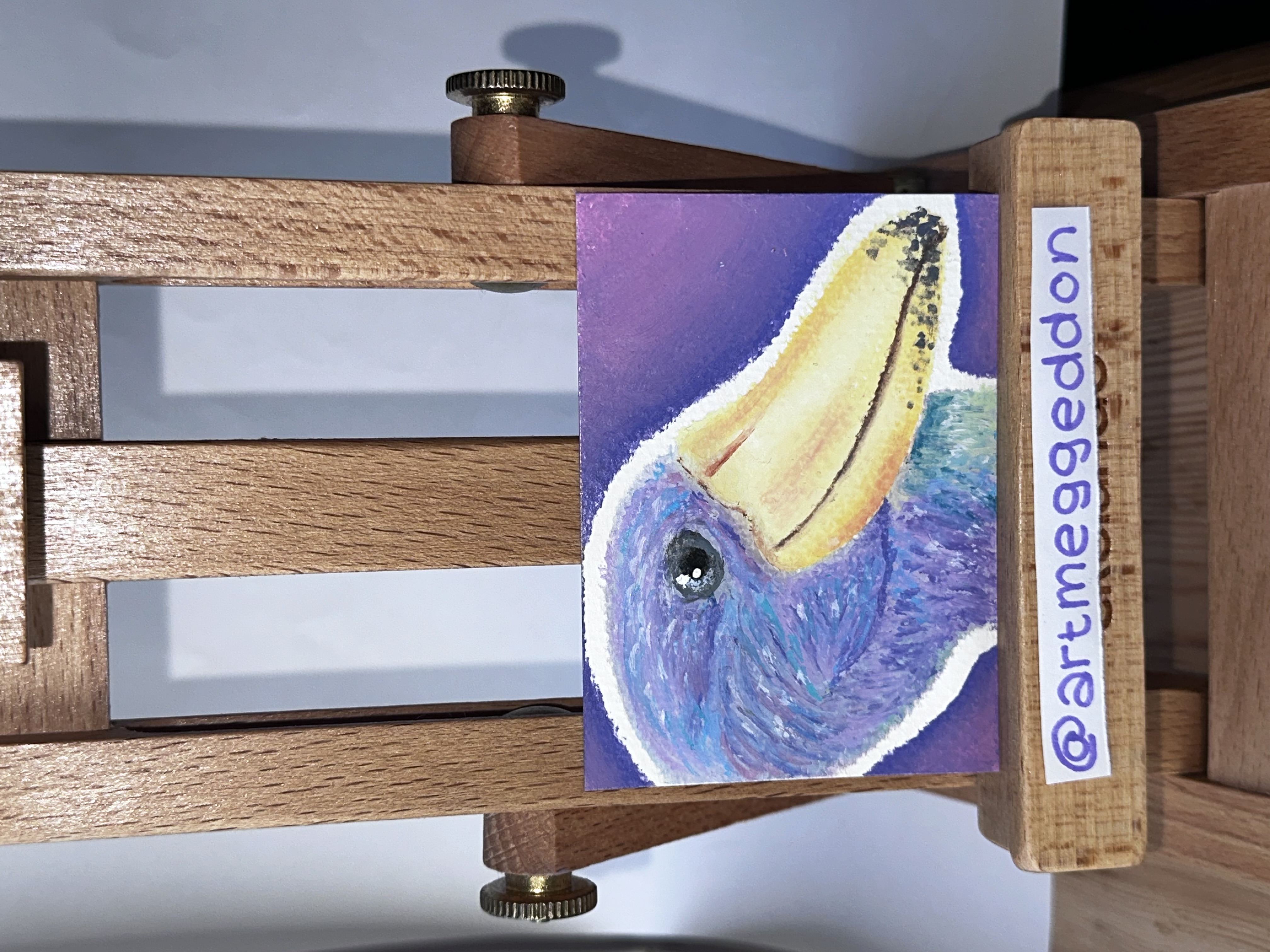 Shoebill Stork, Animals ACEO by Meg Ryan