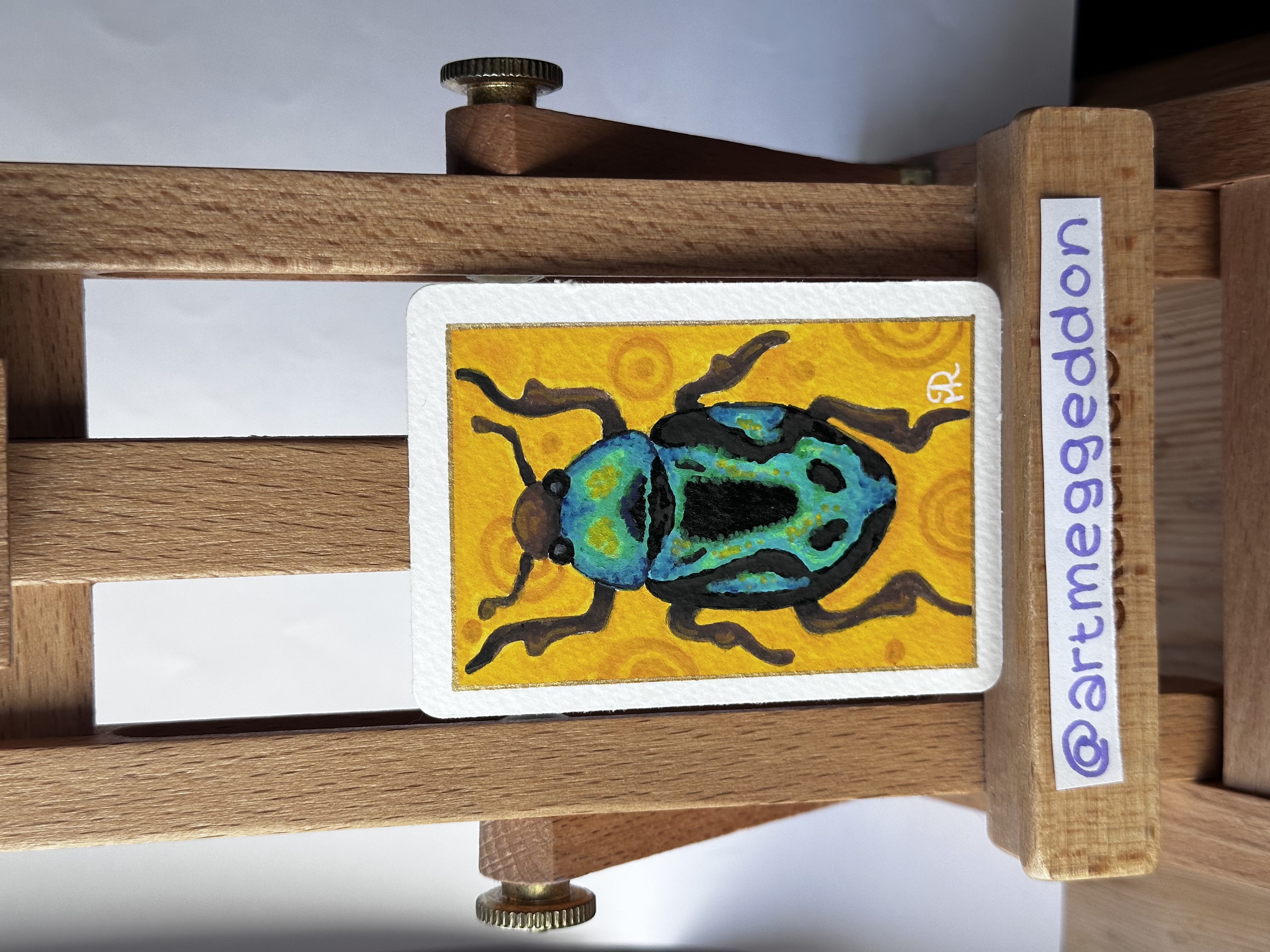 Jewel Beetle, Nature ACEO by Meg Ryan