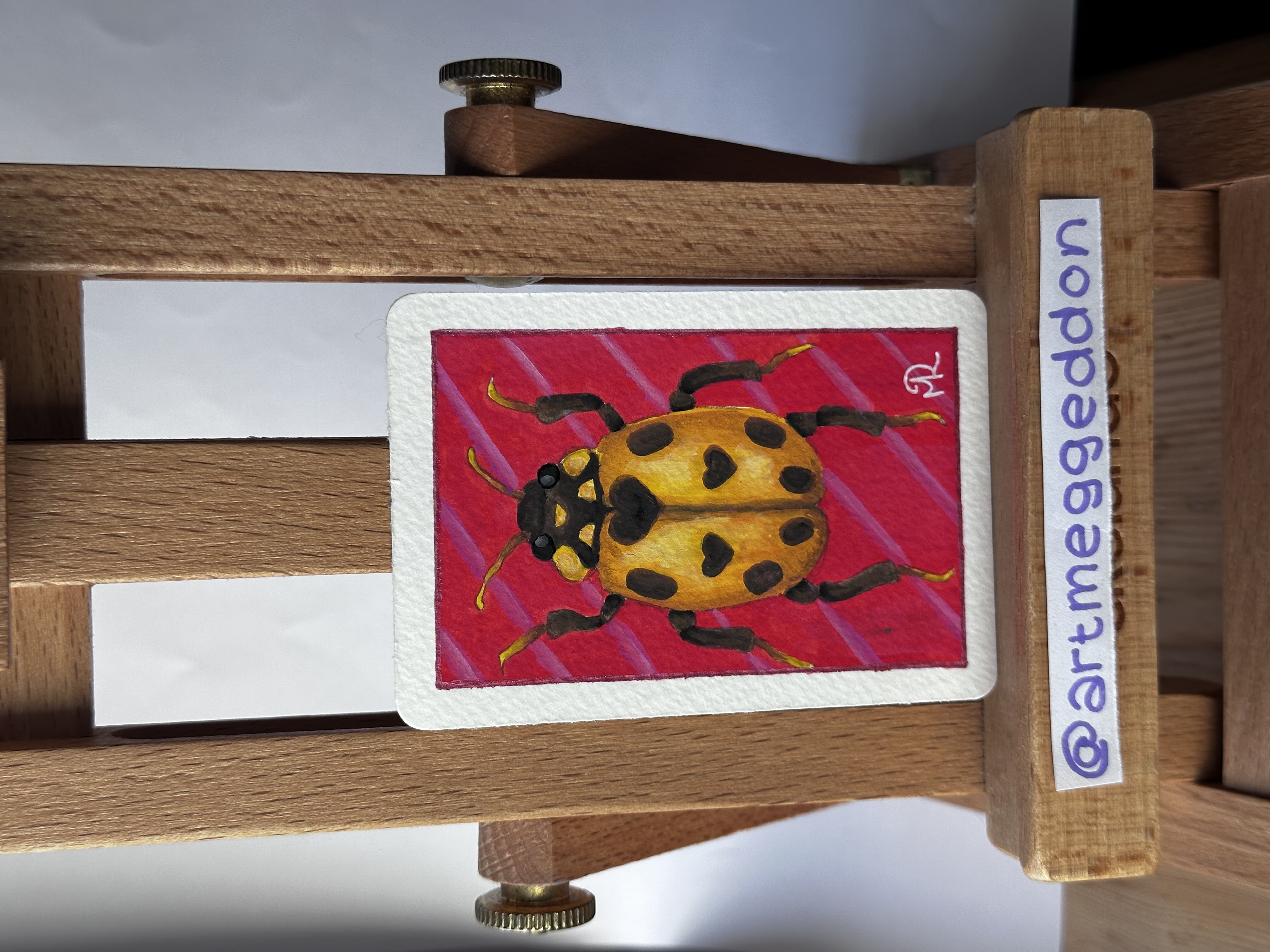 Yellow Lady Beetle, Nature ACEO by Meg Ryan