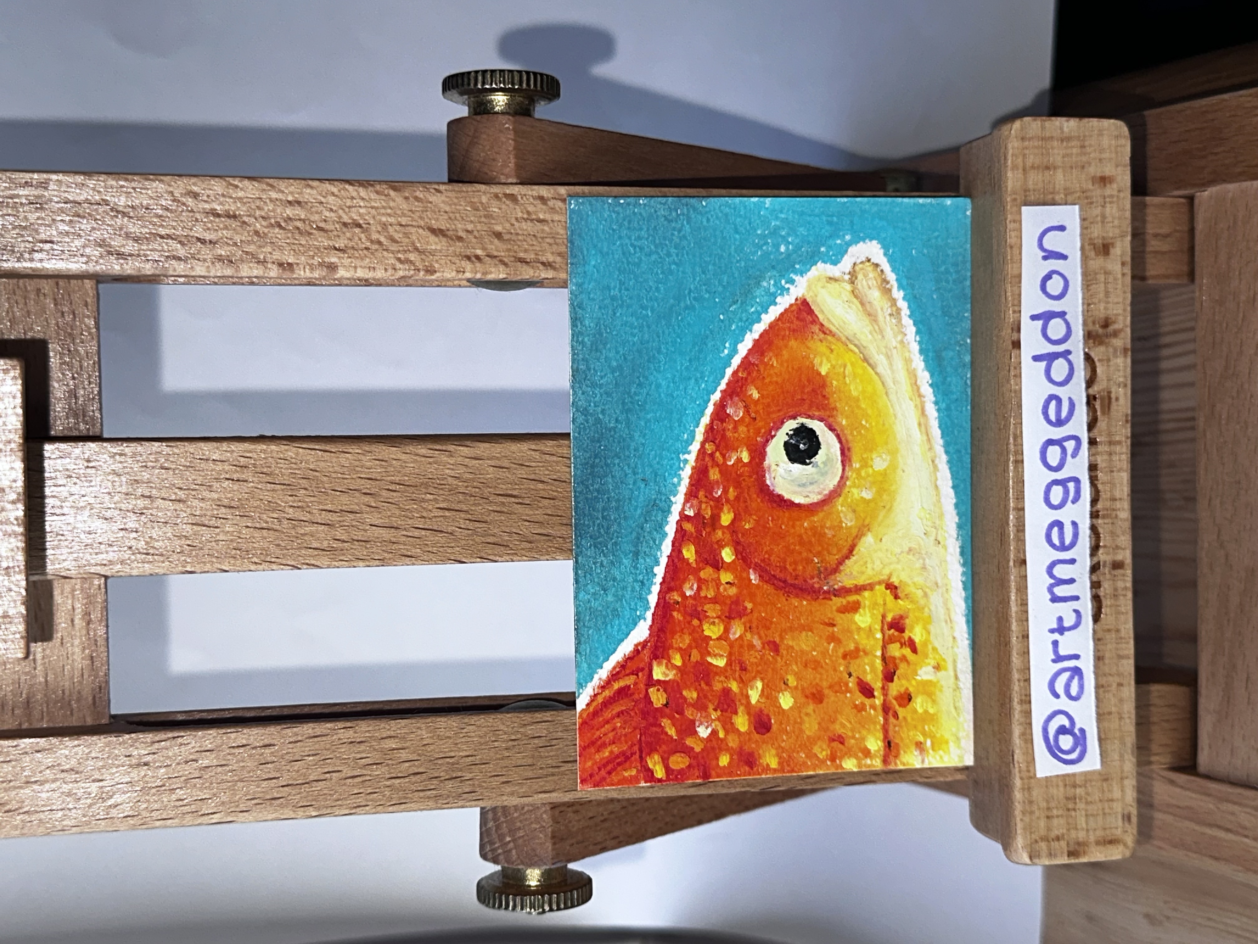 Goldfish, Nature ACEO by Meg Ryan
