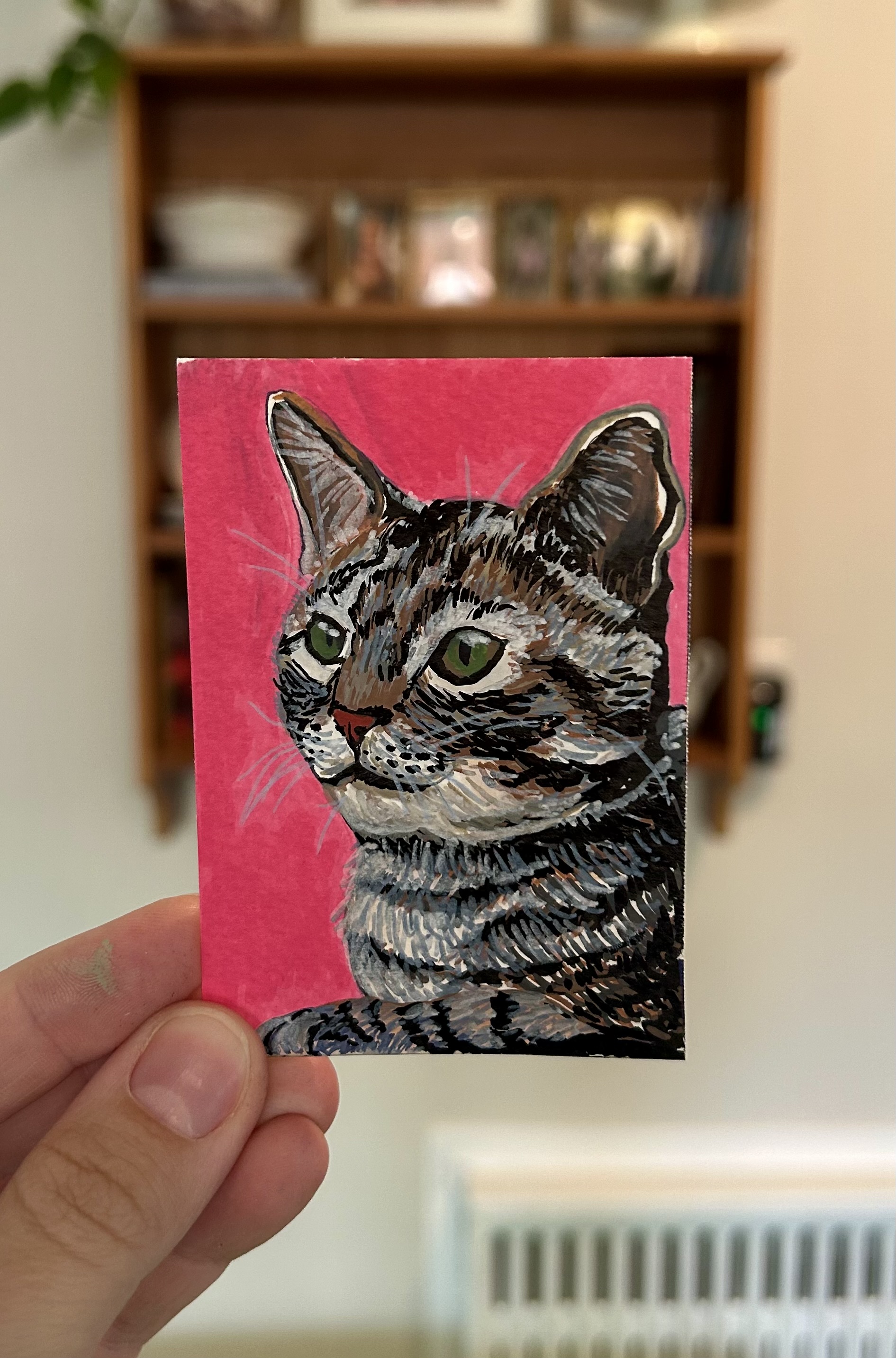 The Pink Lady, Animals ACEO by Kaci Easton