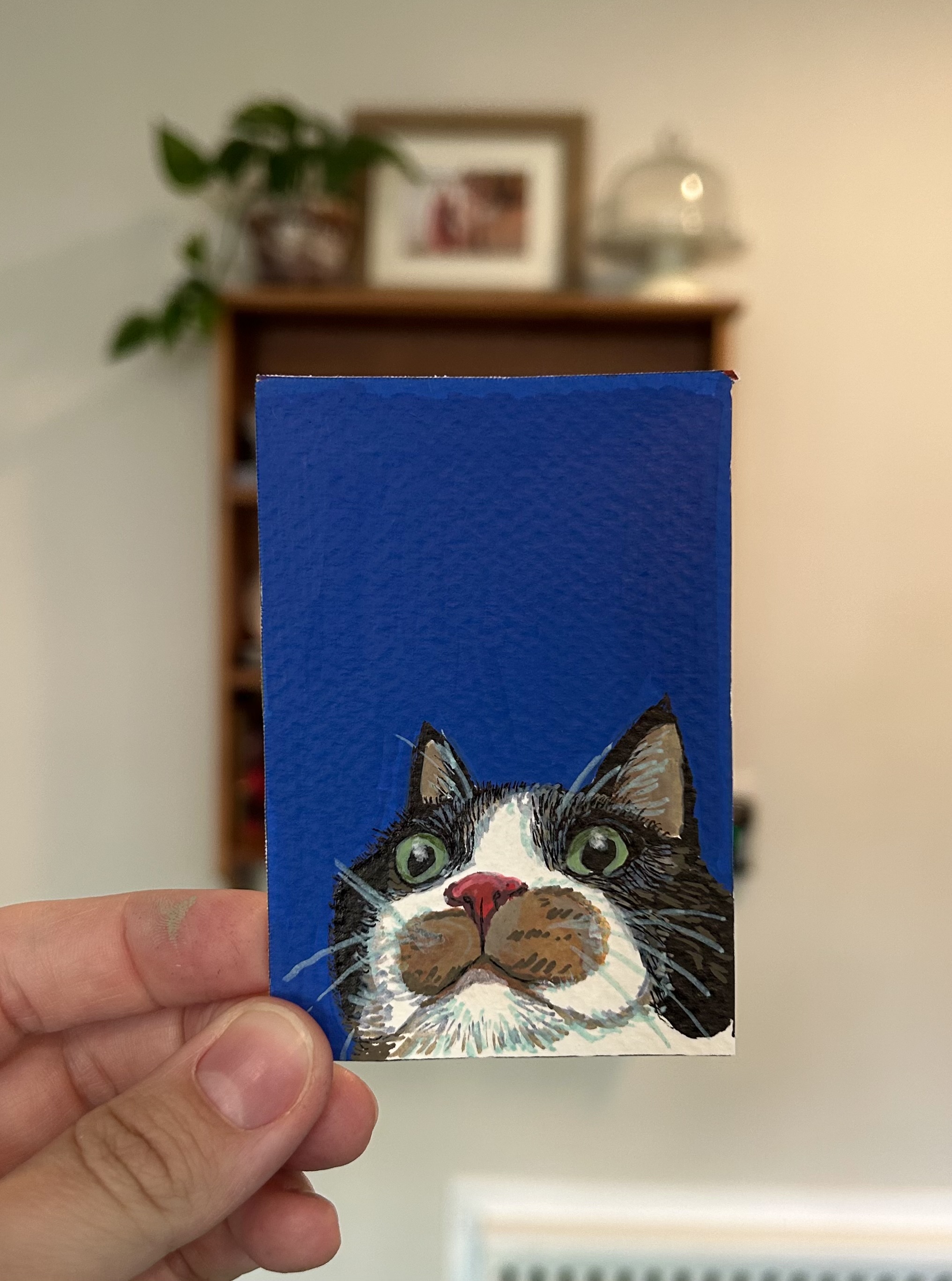 The Blue Boop, Animals ACEO by Kaci Easton