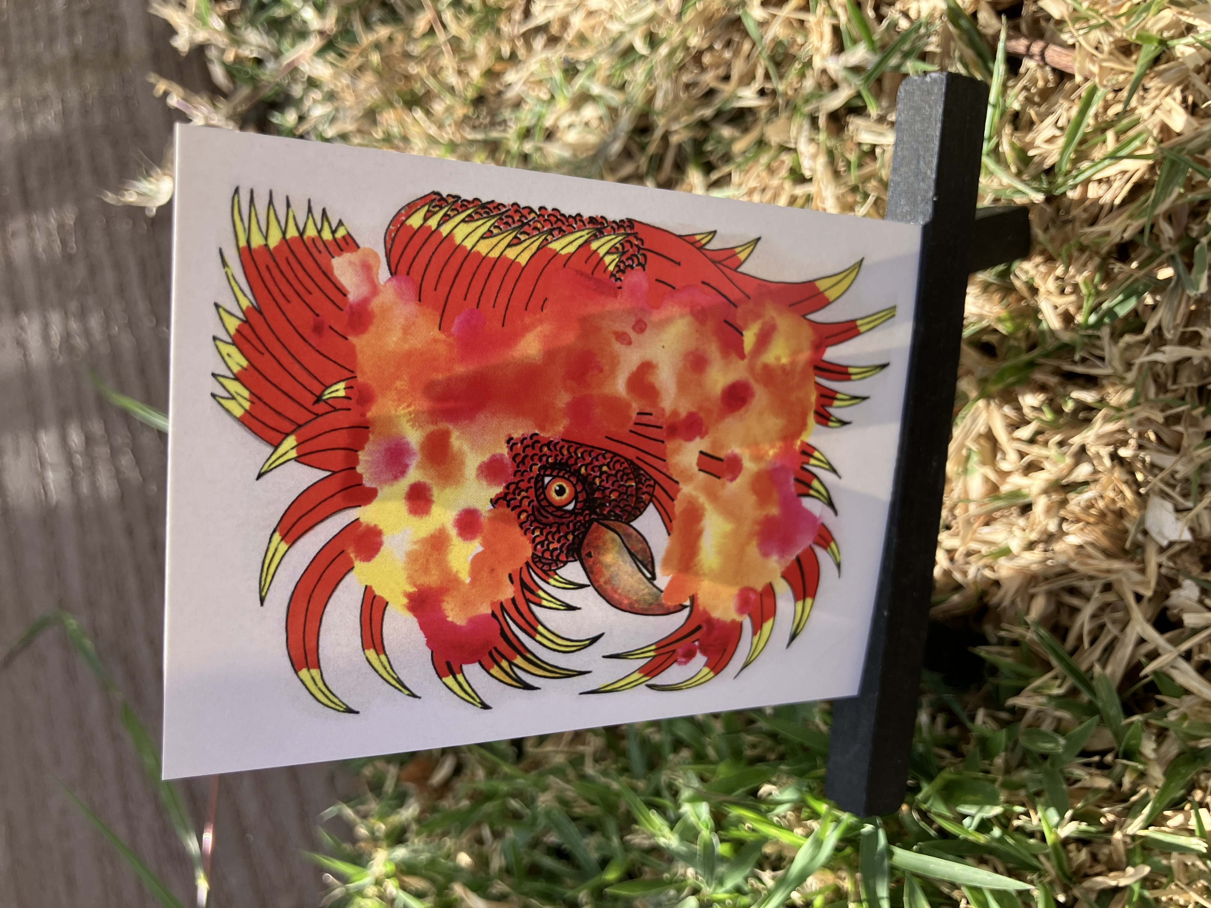 Phoenix, Print, Fantasy ACEO by Daniel Goodwin