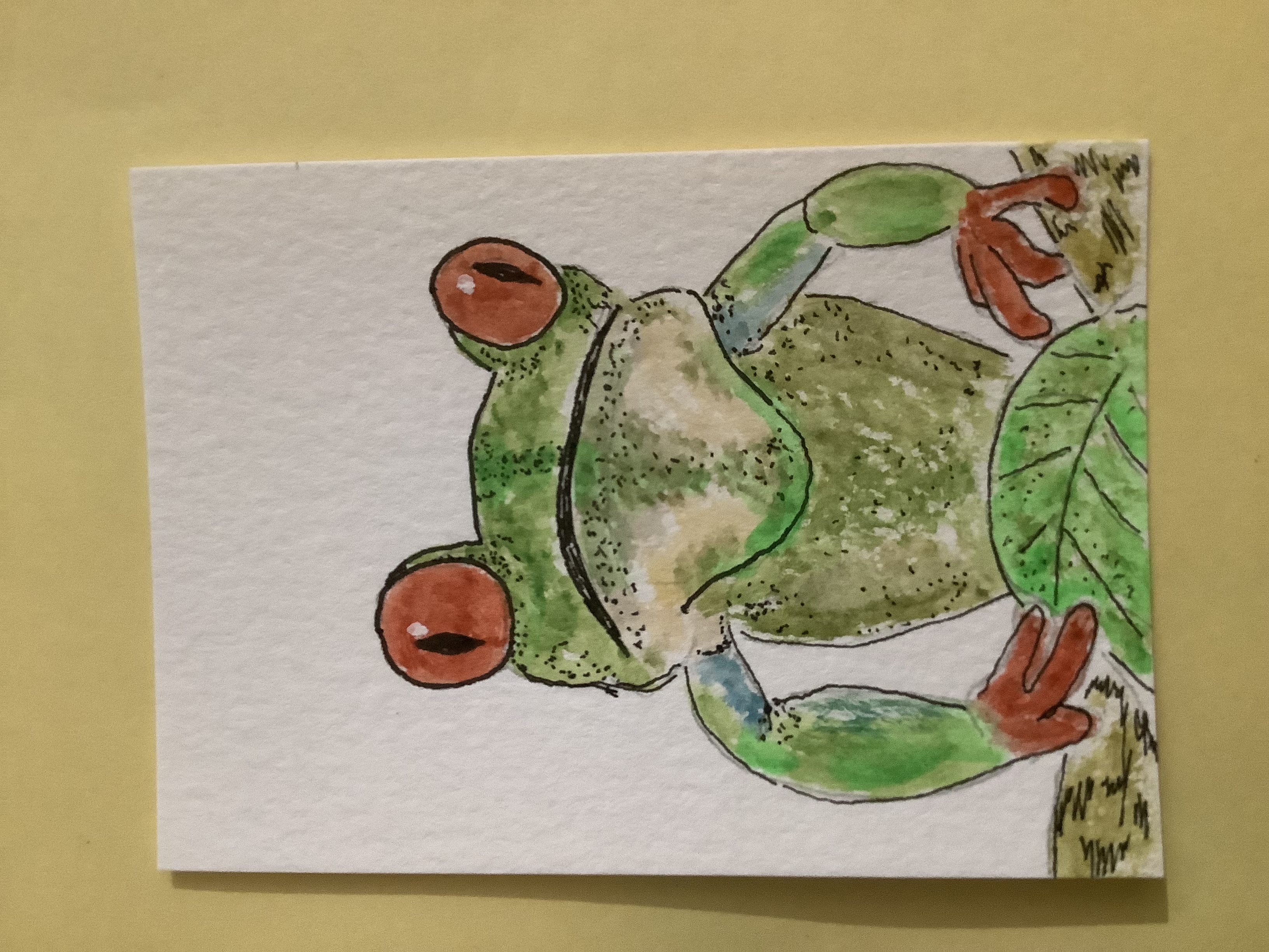 Red Eye Tree Frog, Animals ACEO by Daniel Goodwin