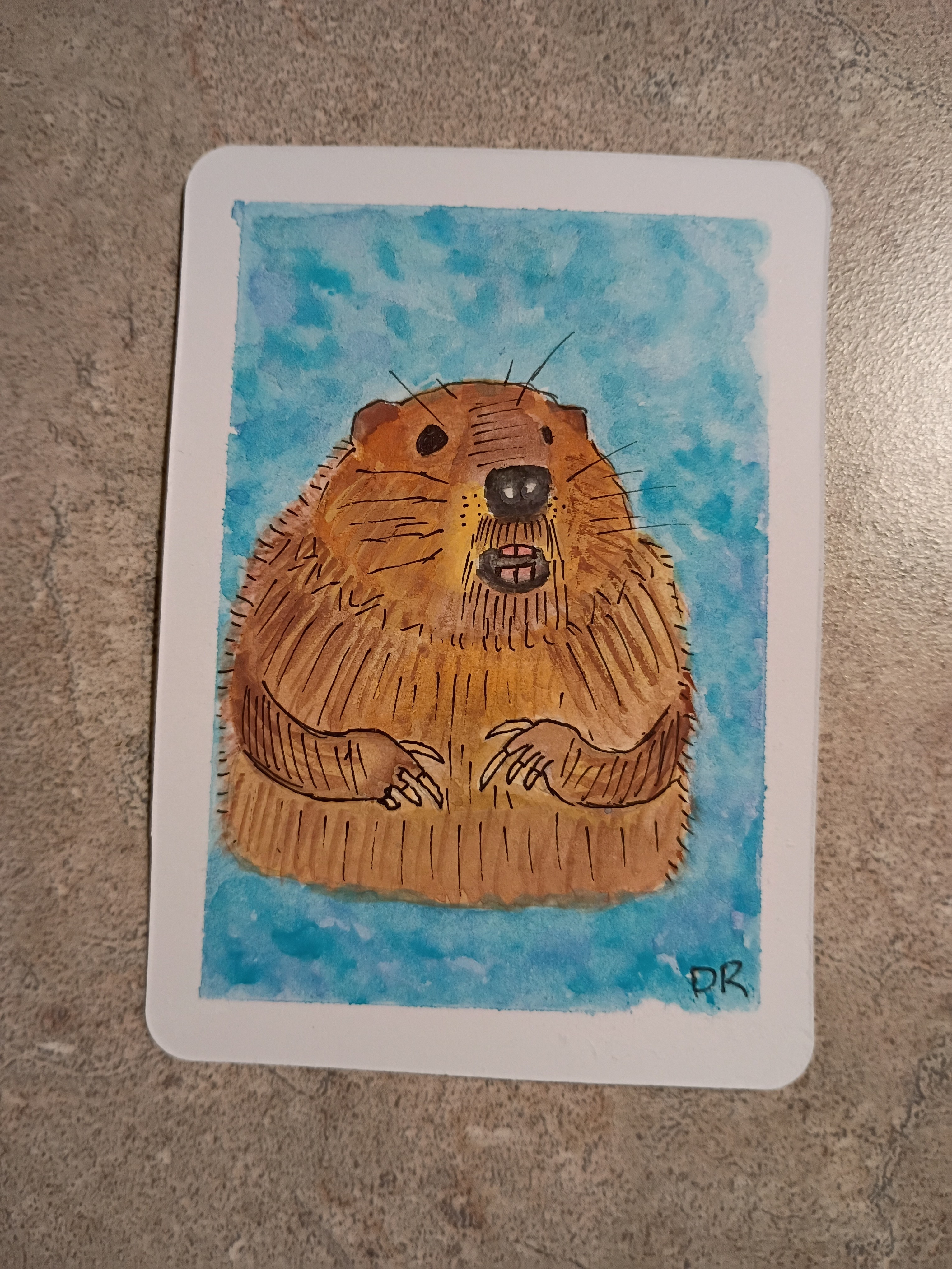 Beaver, Animals ACEO by Danielle Redmond