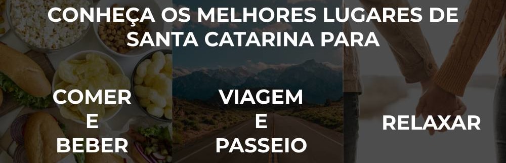 Banner 1