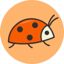 Bugna