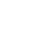 Pinecone logo