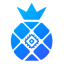 iPollo logo