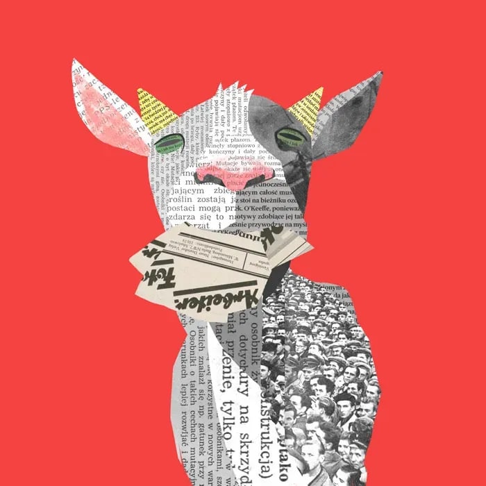 Ilustracja przedstawiająca kozę wyciętą z gazet na czerwonym tle - Marta Sieczkowska. Illustration showing a goat cutted from newspaper on red background by Marta Sieczkowska.