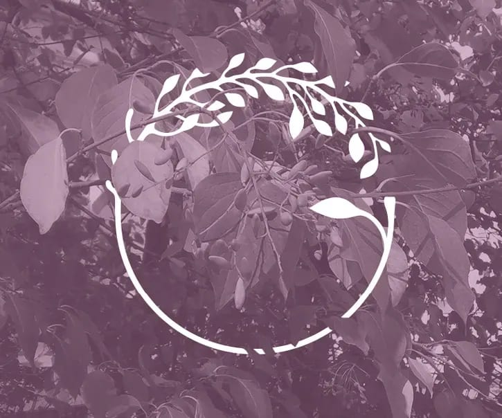 Ganna Glass Logo